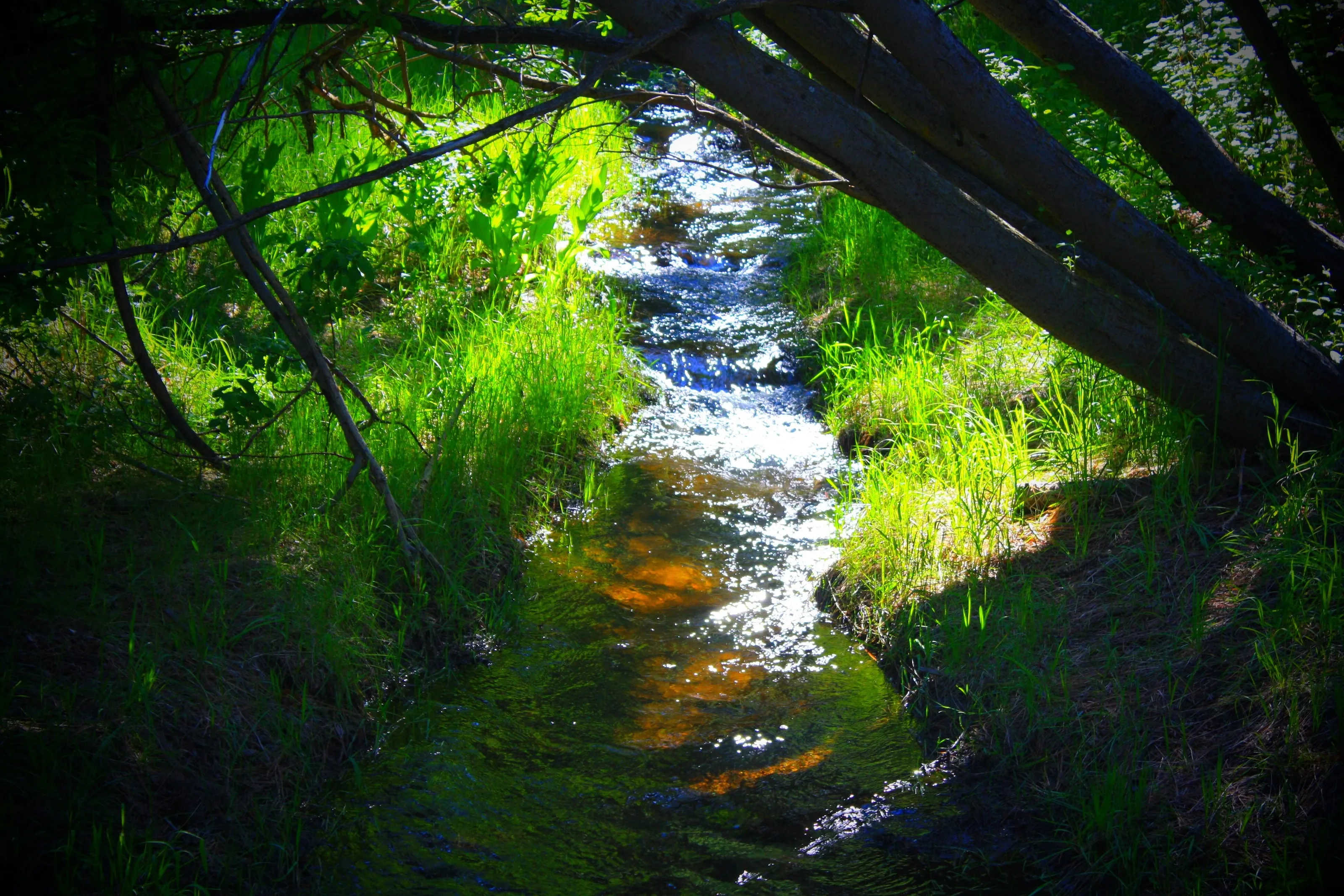 Sun reflecting a stream in Lake Tahoe