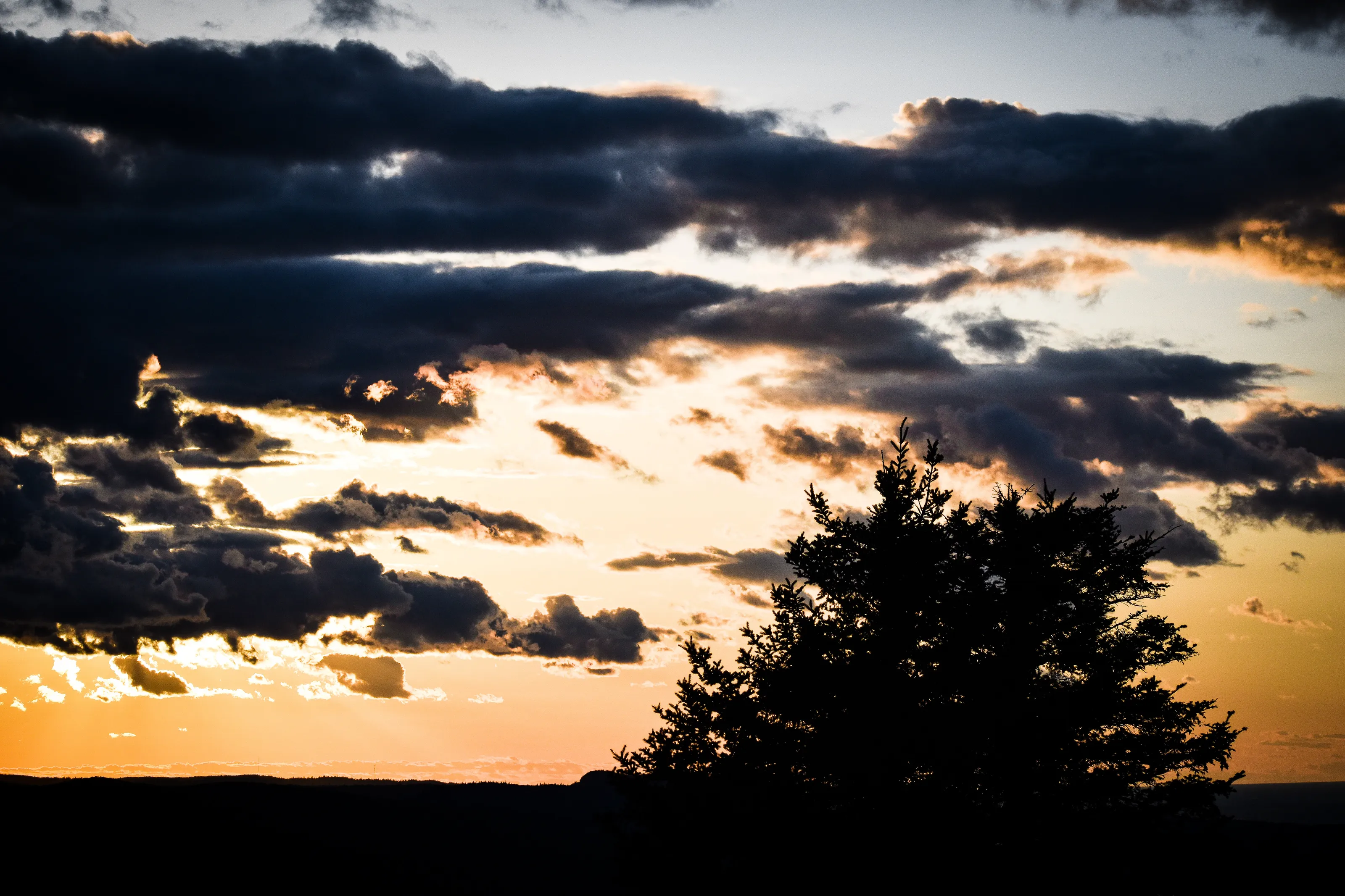 Copper Sunset