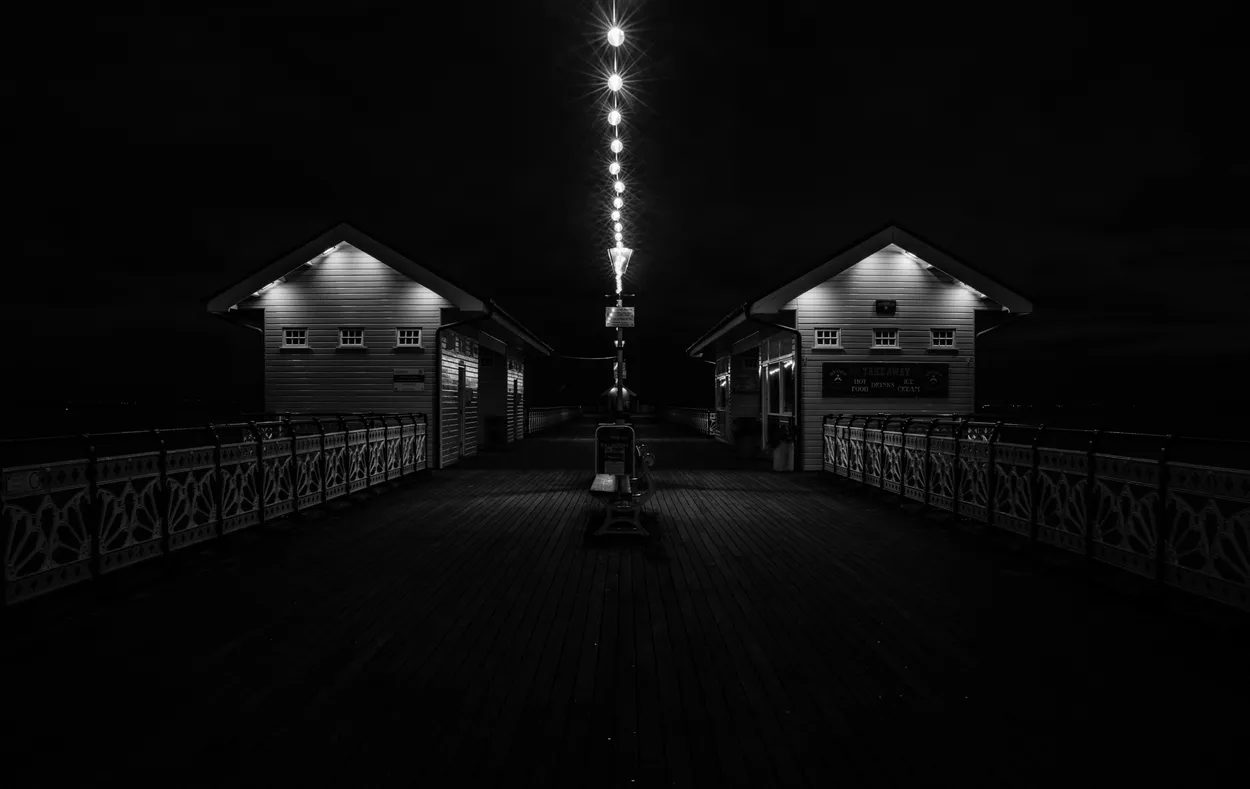 Entry 17041183