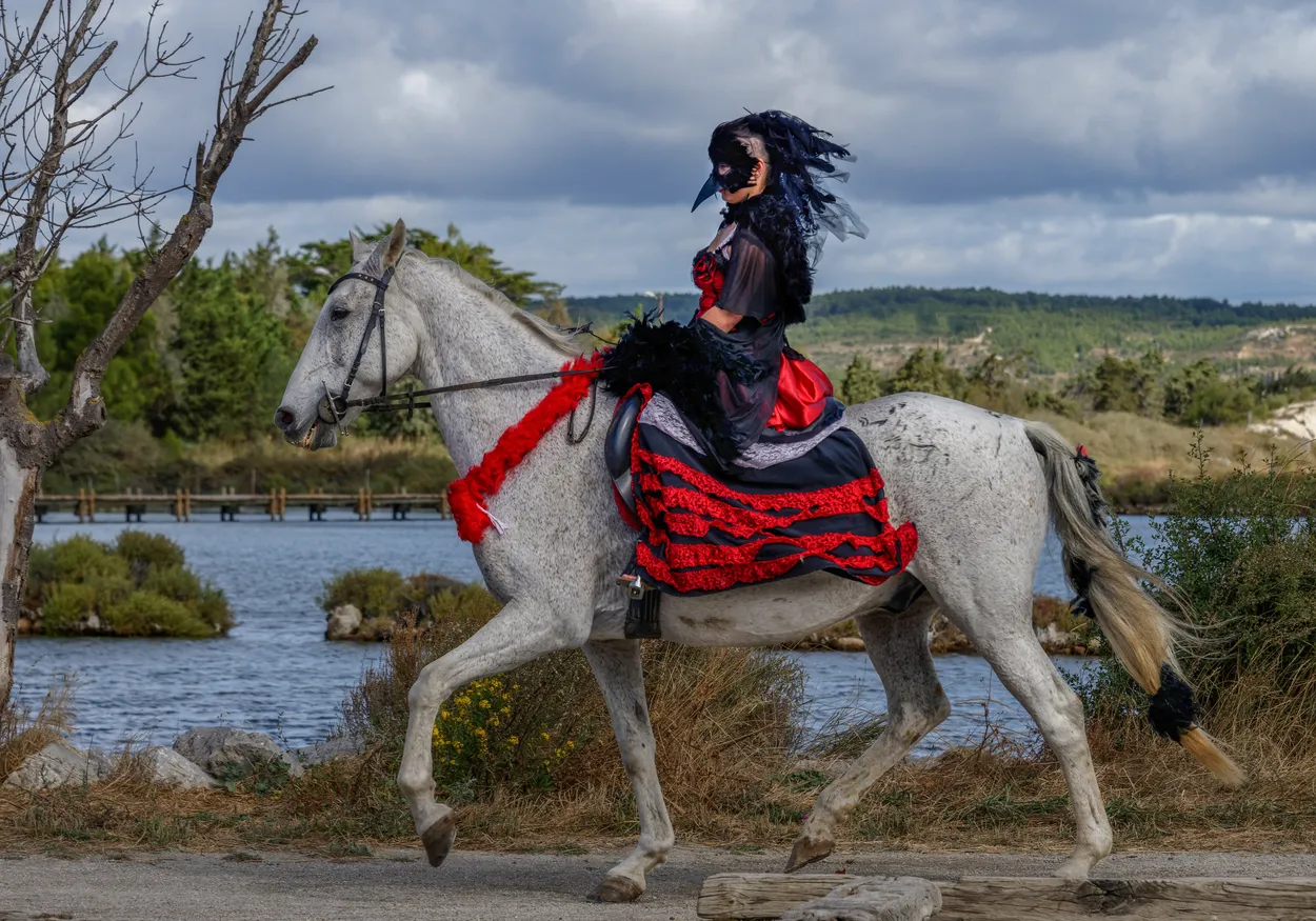 Carnival Horse