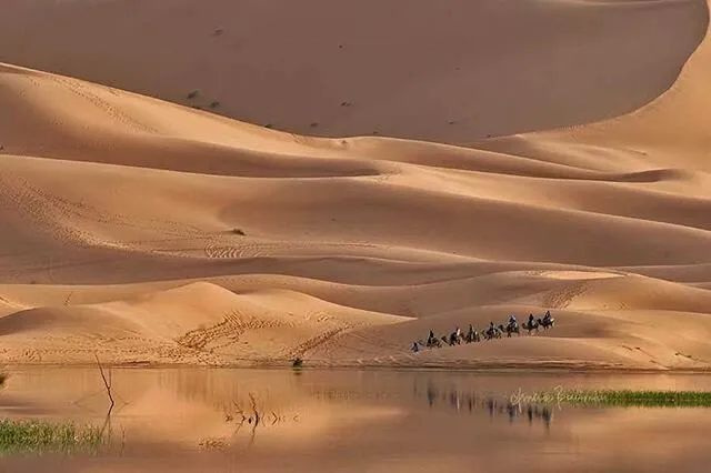 Caravan II