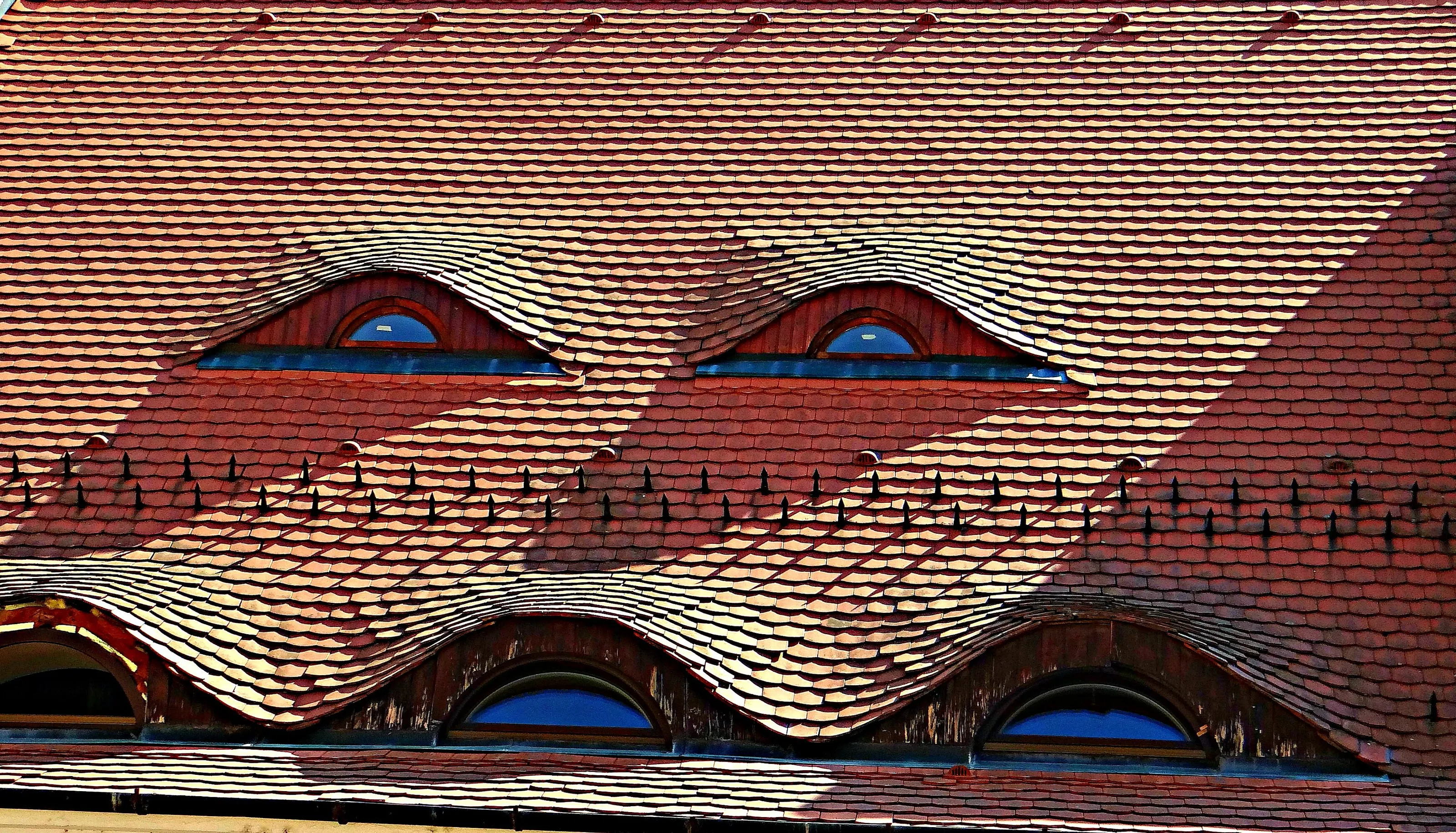 Eyes of rooftop