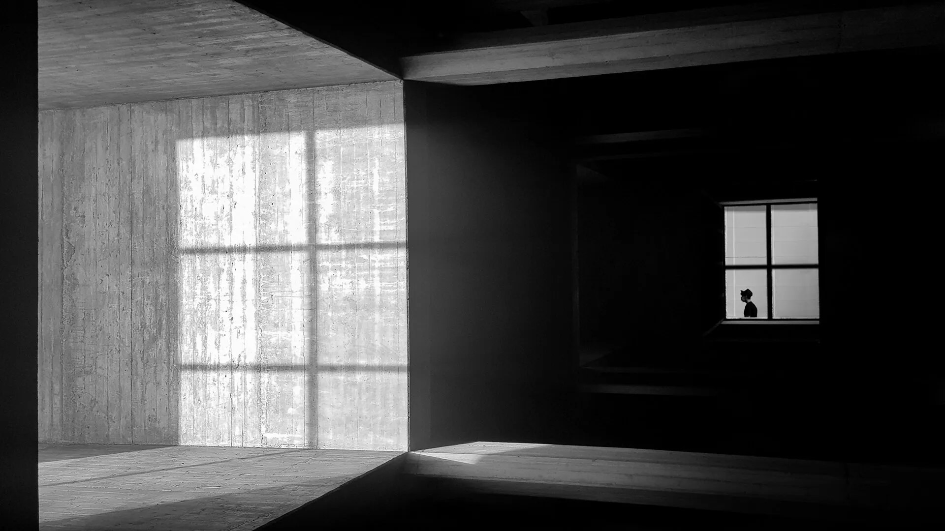 Entry 17065101