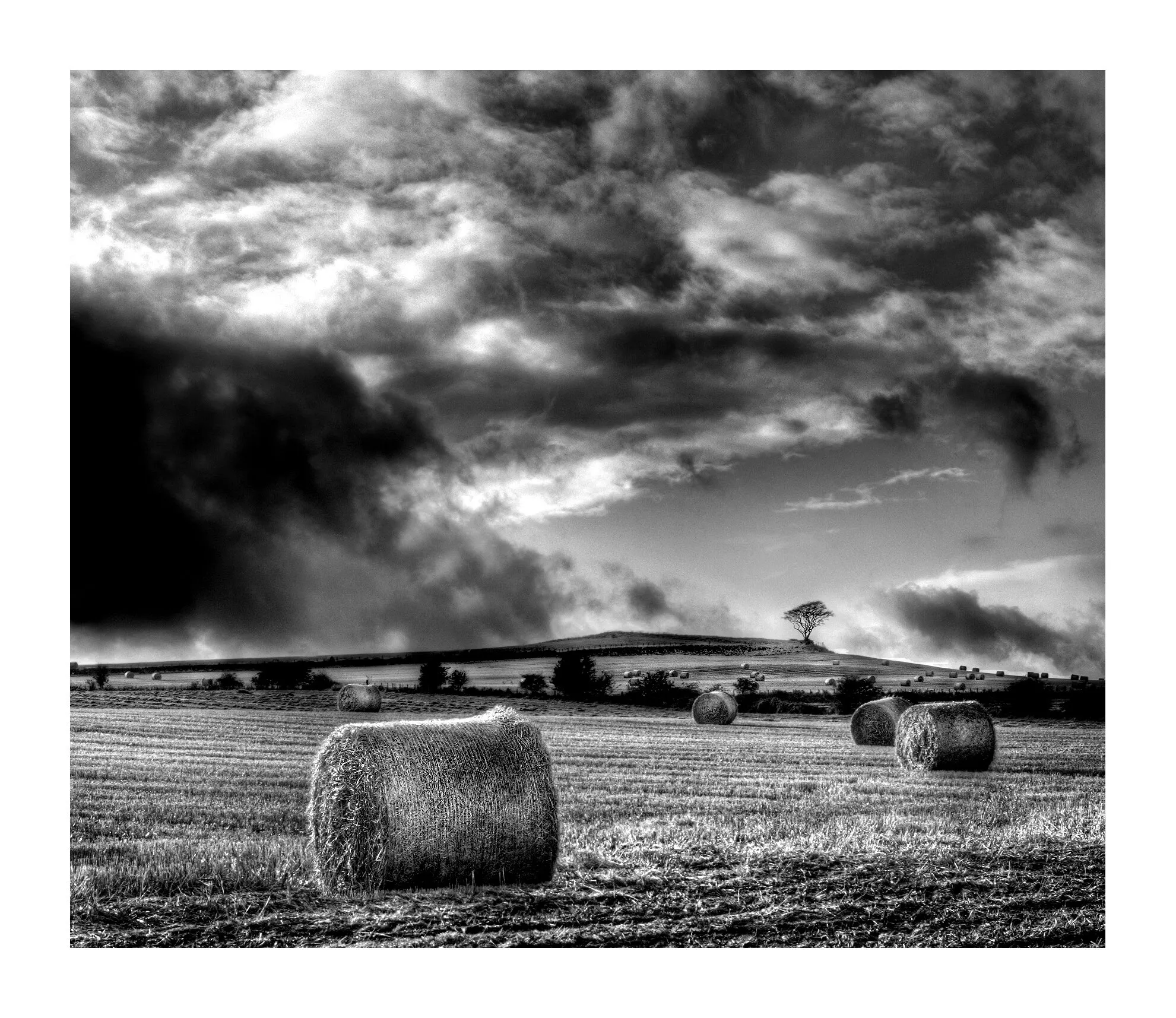 Hay-Rolls