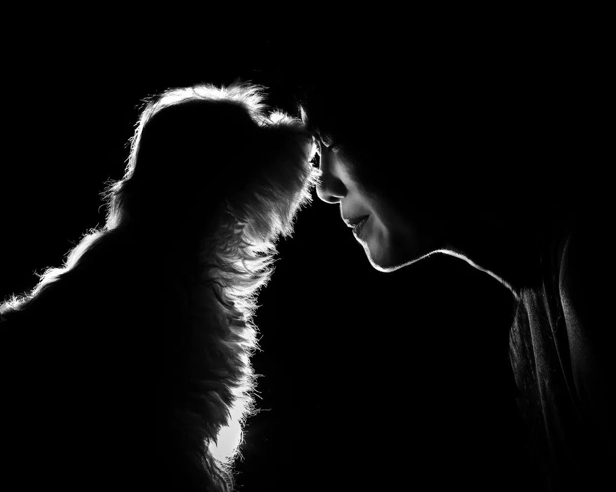 Purfect Love