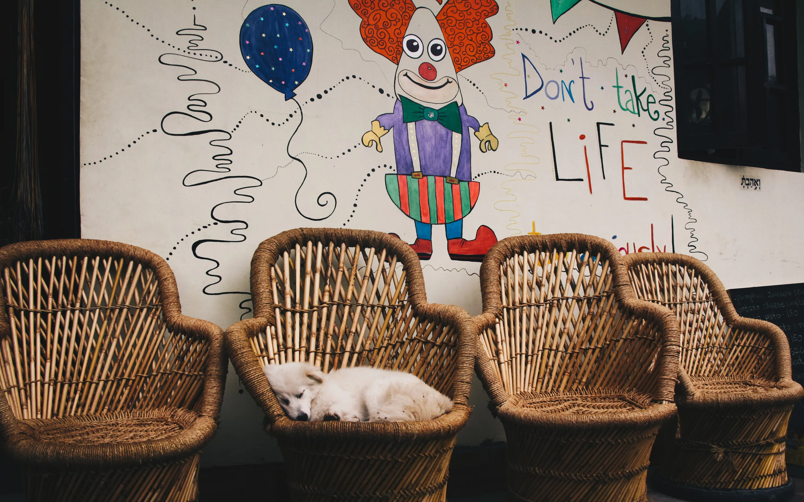 Don't take life seriously. Take a nap.