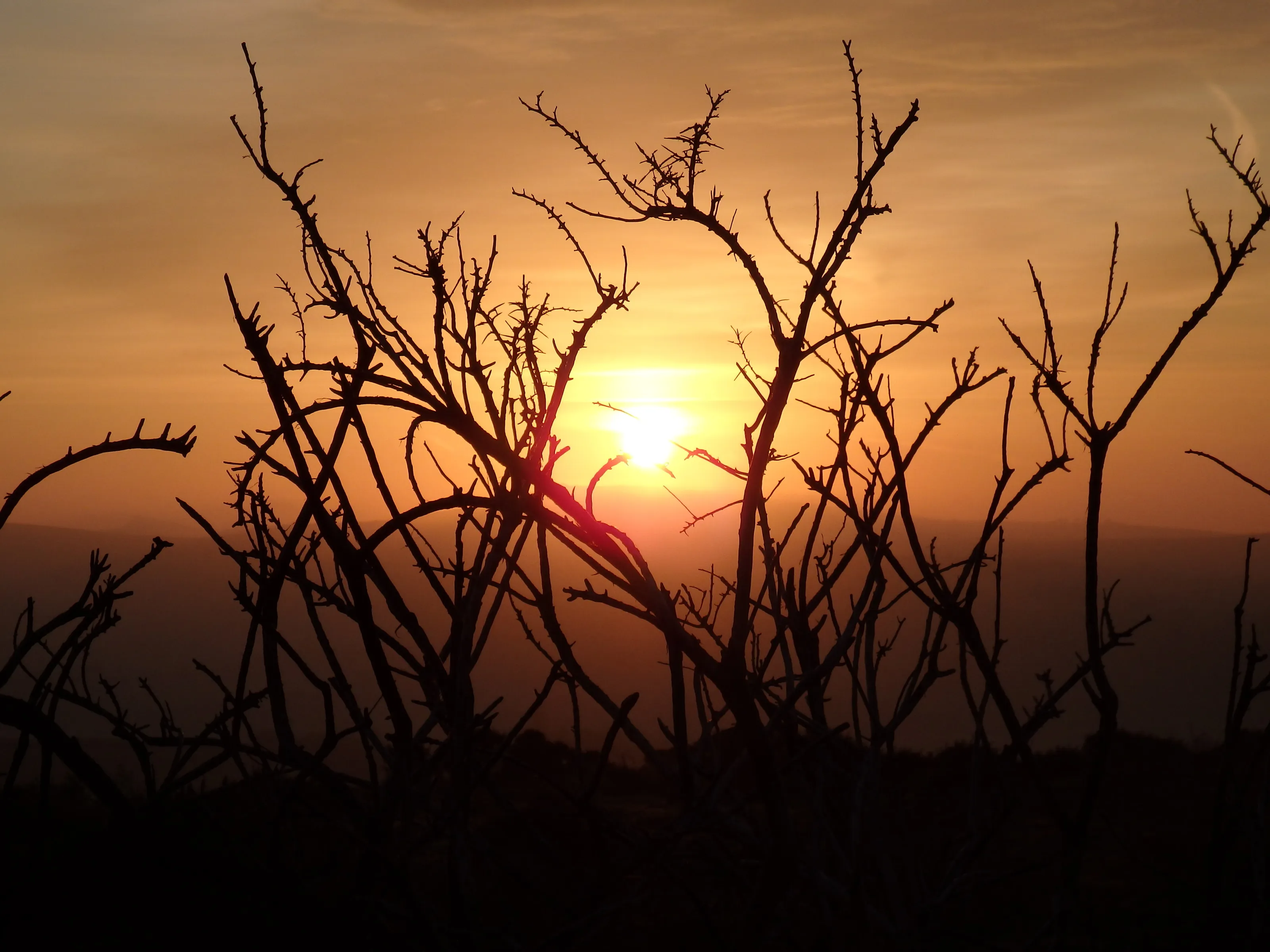Sunrise on Dartmoor
