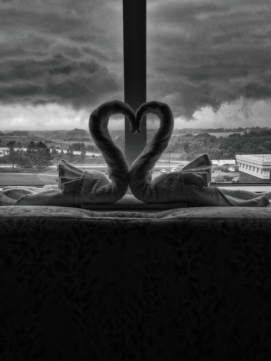 Entry 20348383