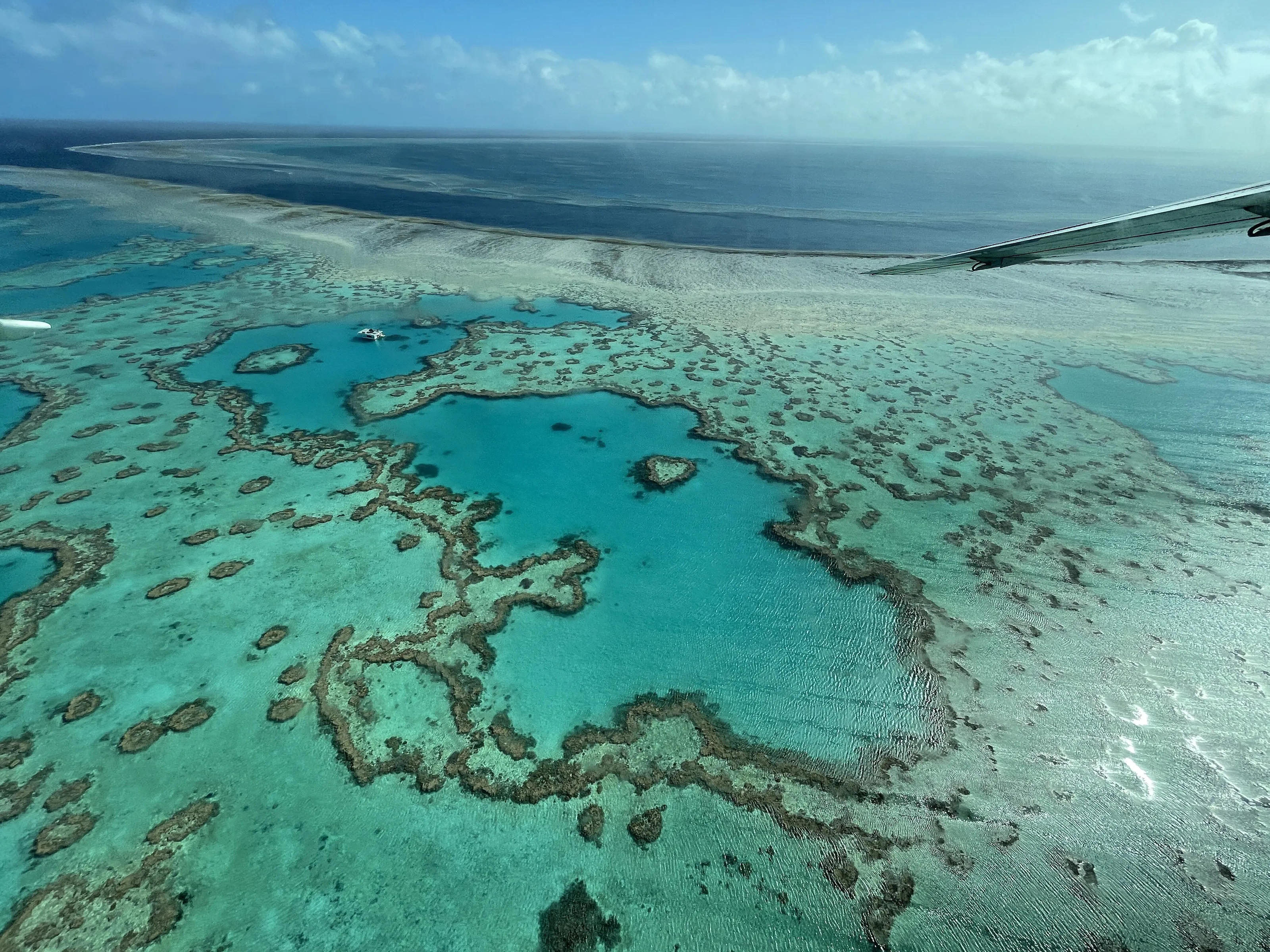 Great Barrier Reef, Qld
