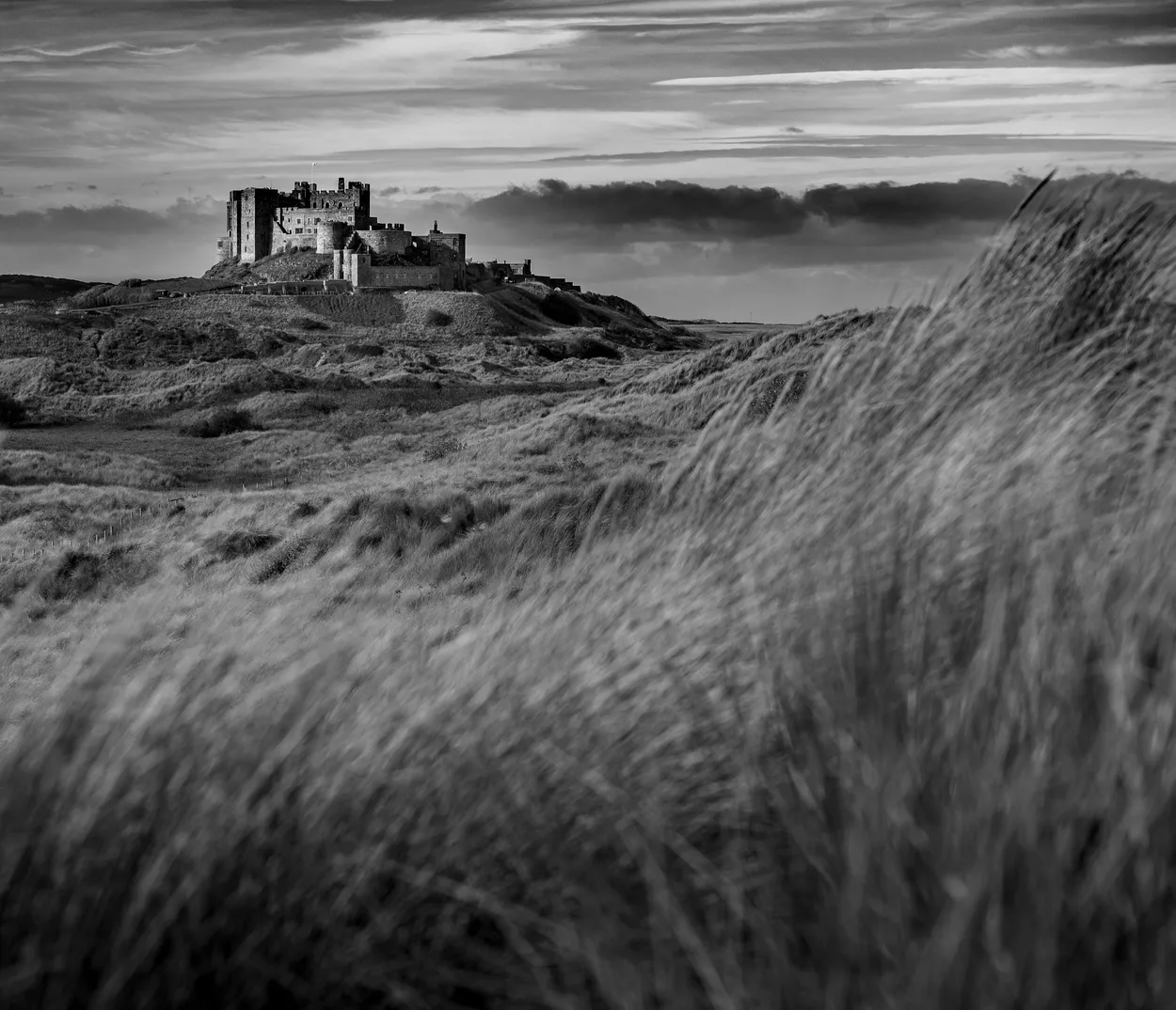 Entry 21723468