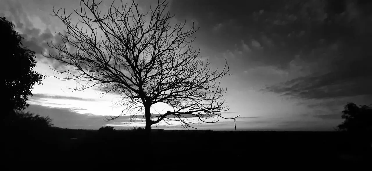 Colorful things get scary when it shifted to black and white