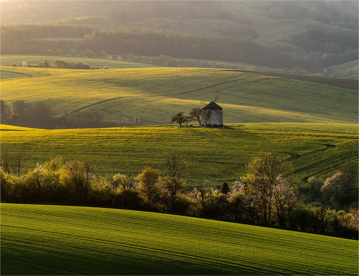Kunkovice Windmill at Sunset; South Moravia; CZ