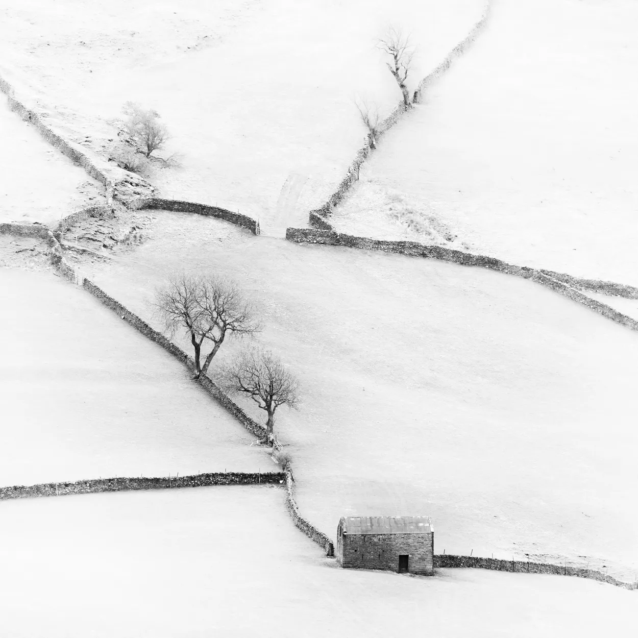 Barn