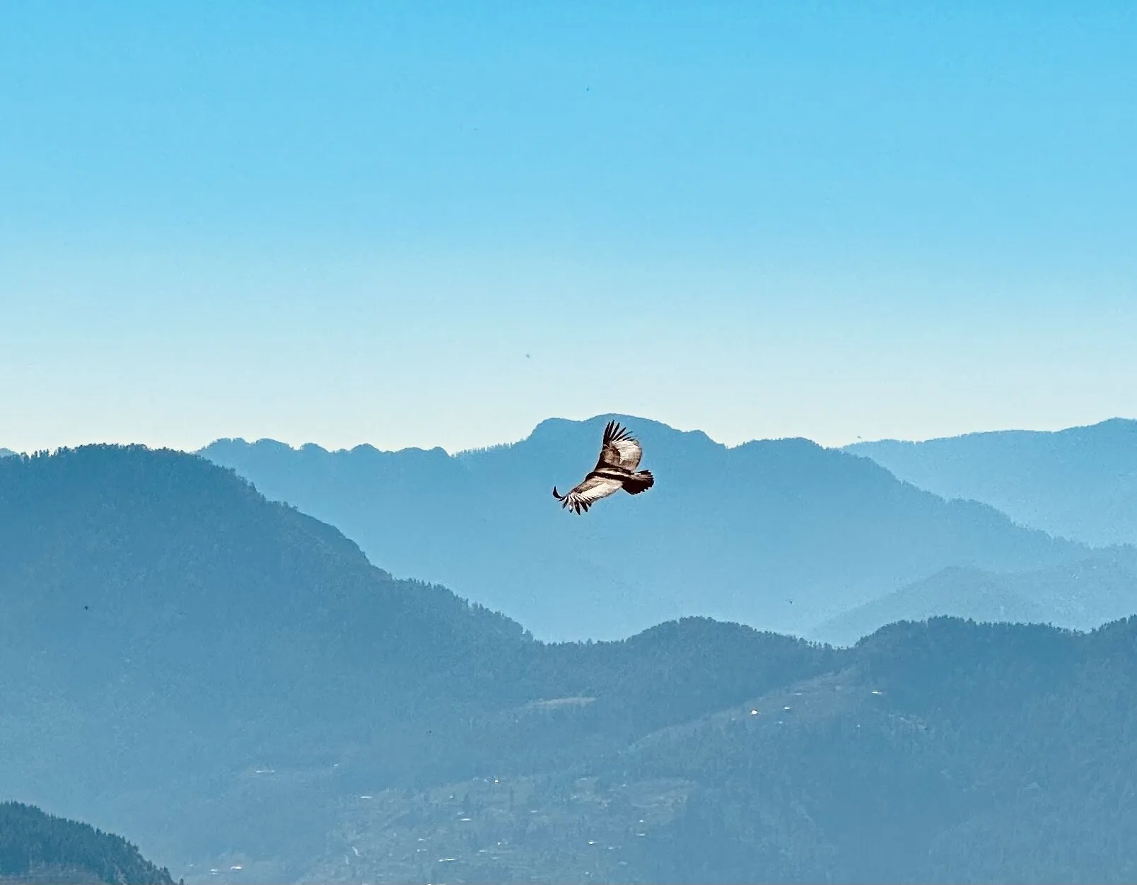 King of the Sky