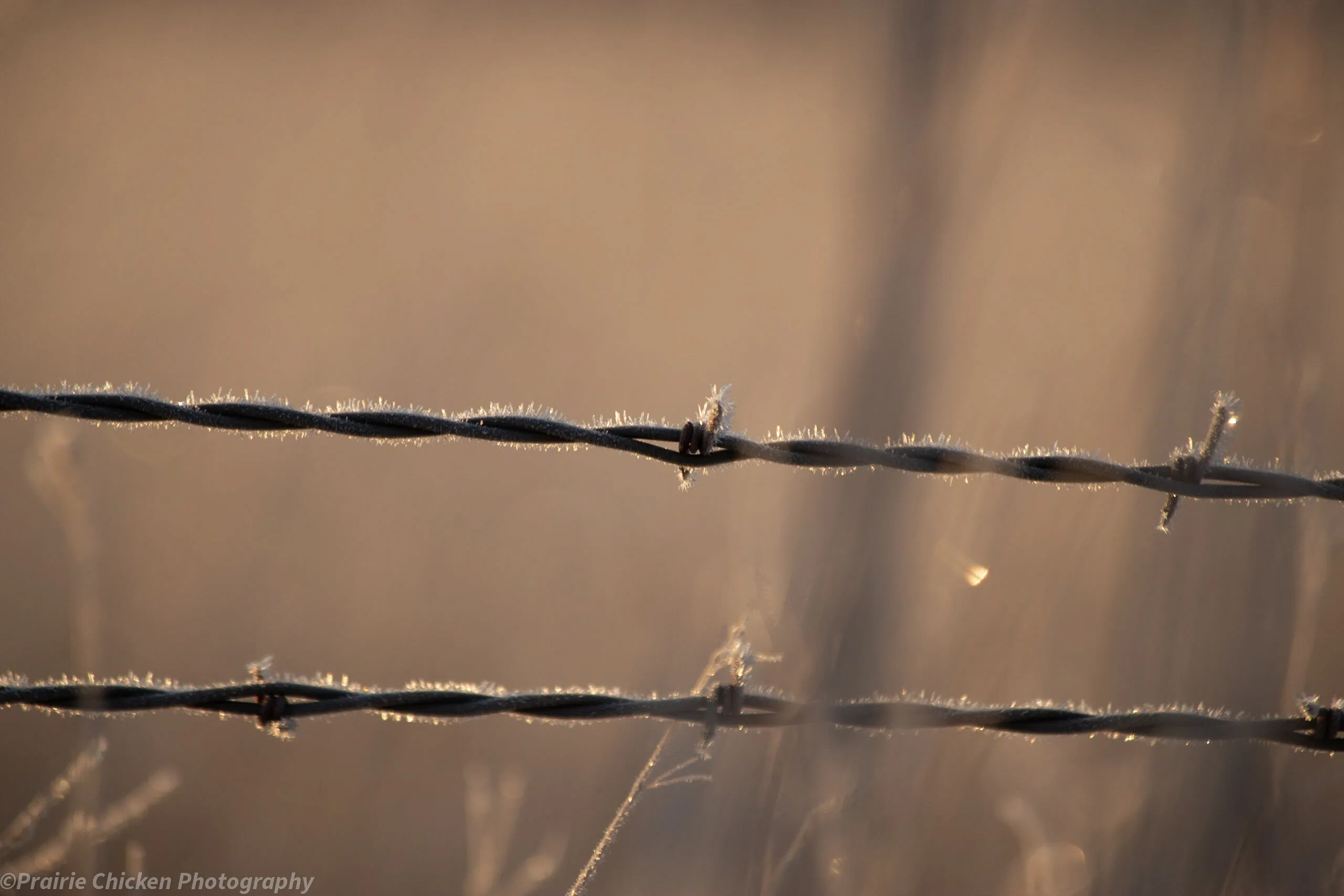 Frost on a Wire