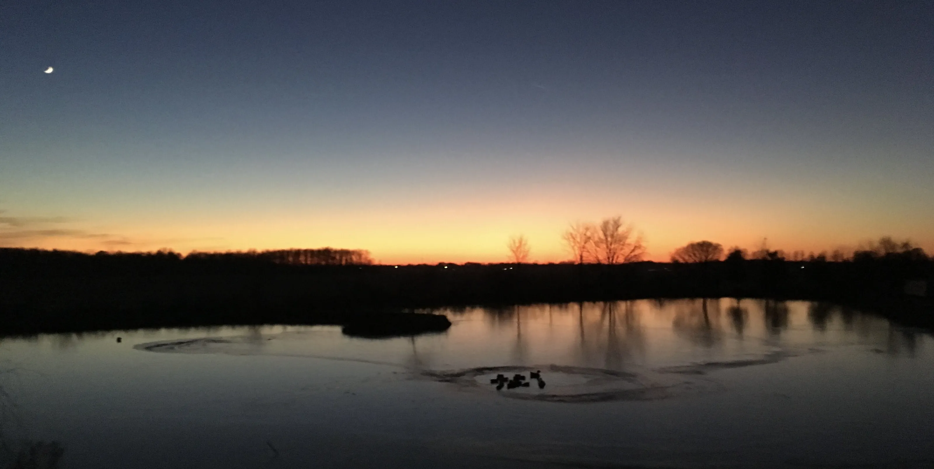 Life at Dusk