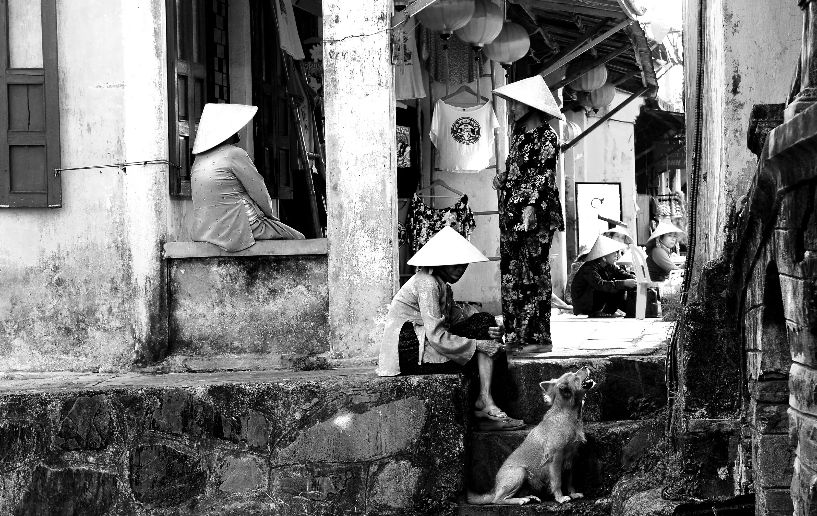 Three women and a dog