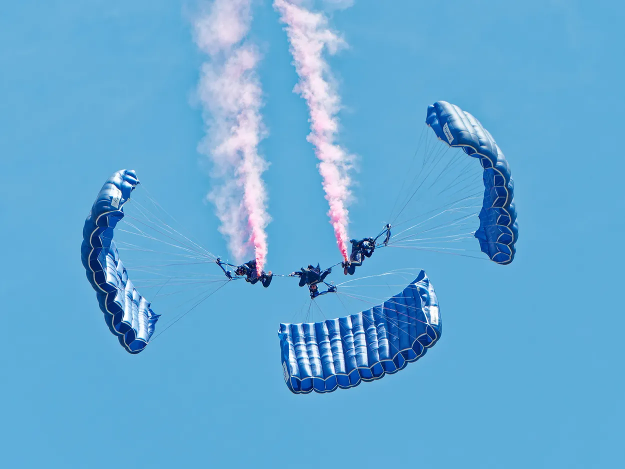 Entry 19530682