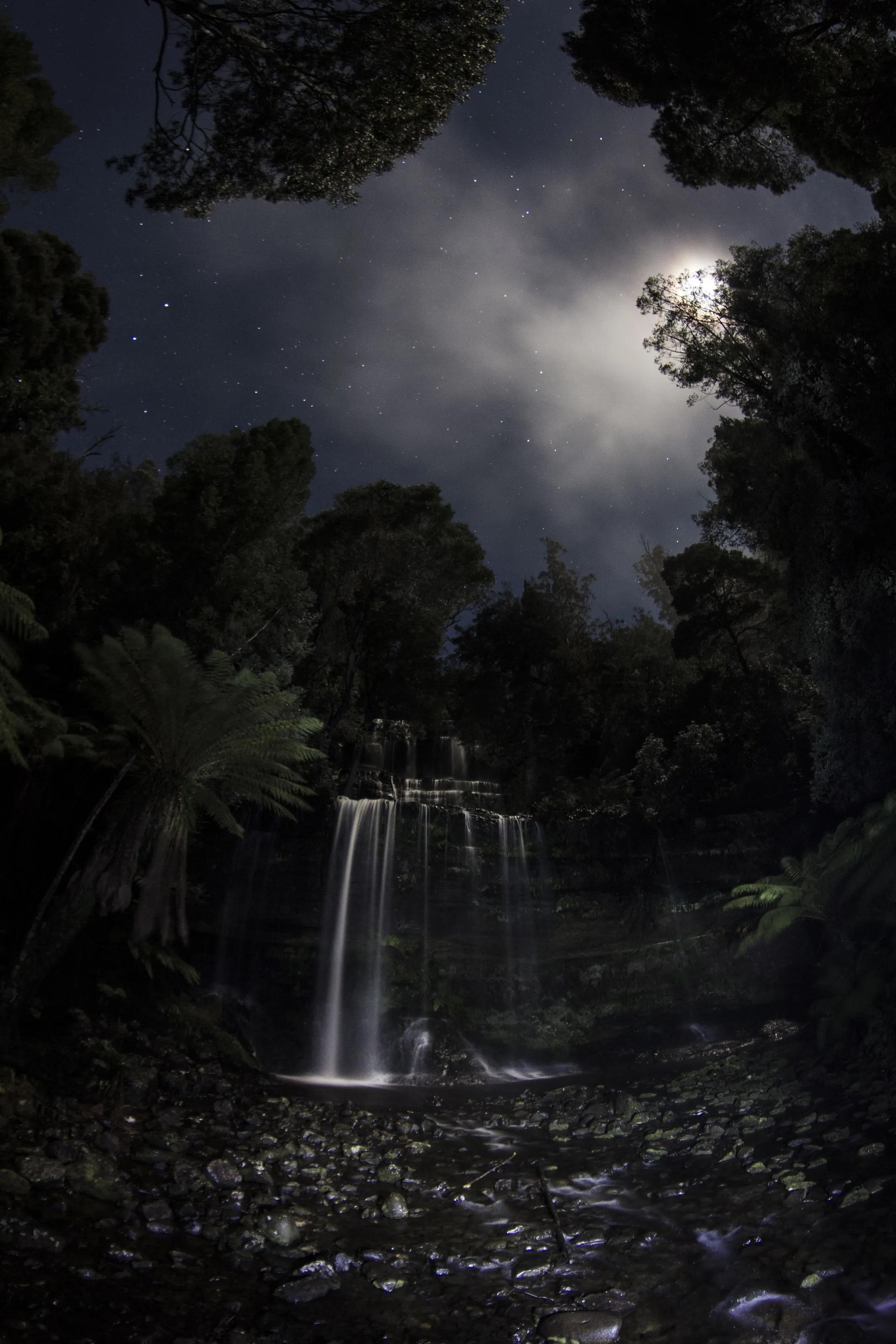 Russell Falls by moonlight