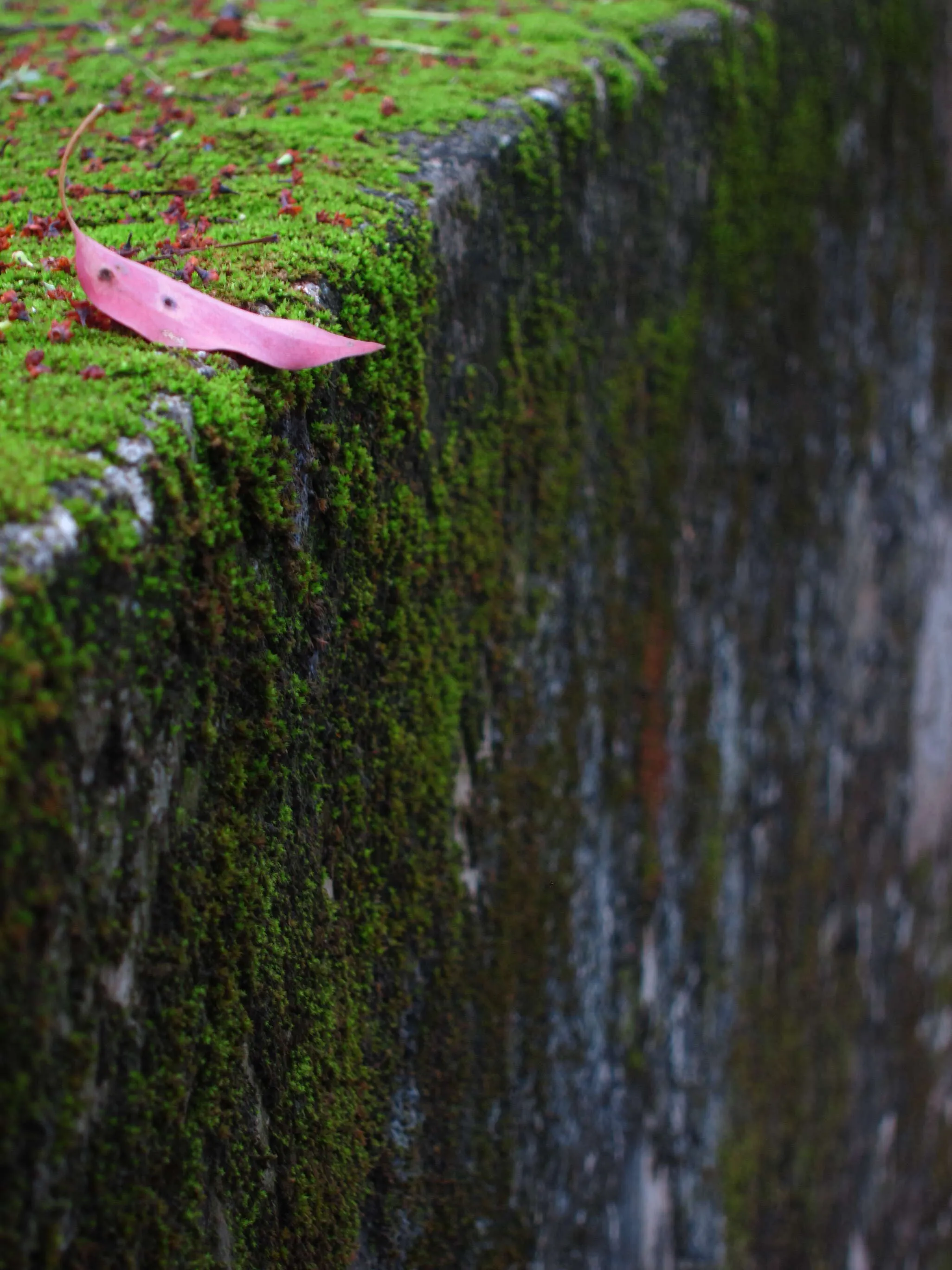 Boat on the edge of waterfall