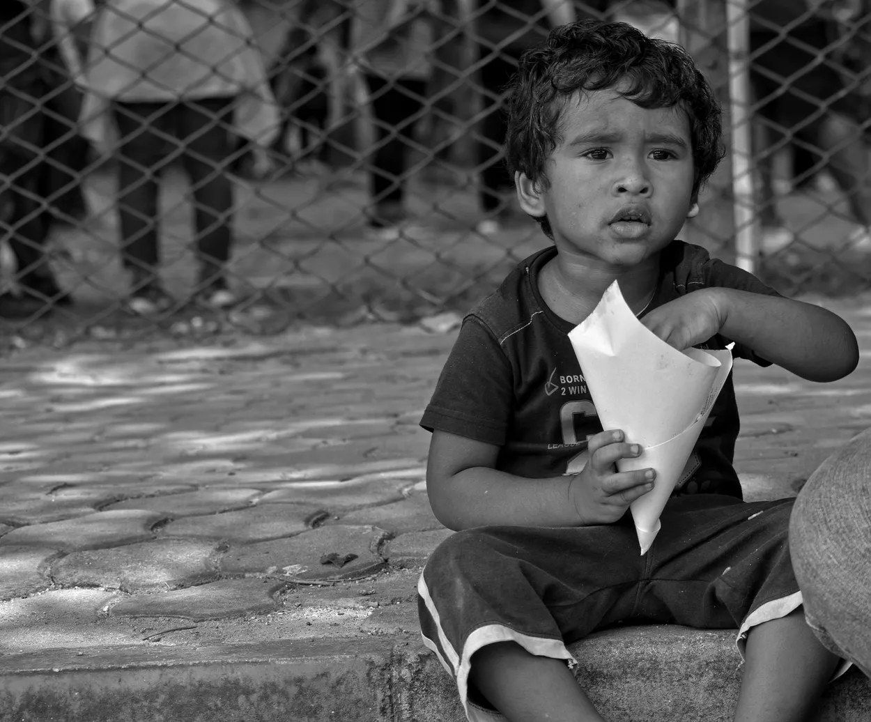 Entry 18088547