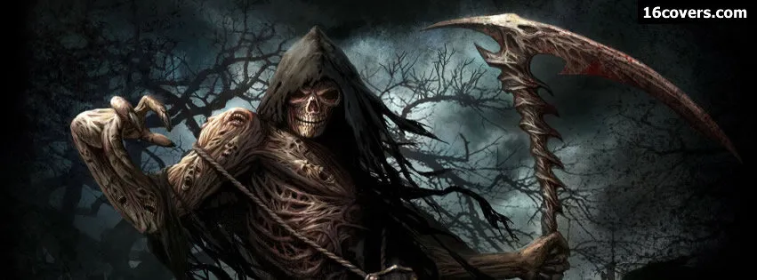 Banner image