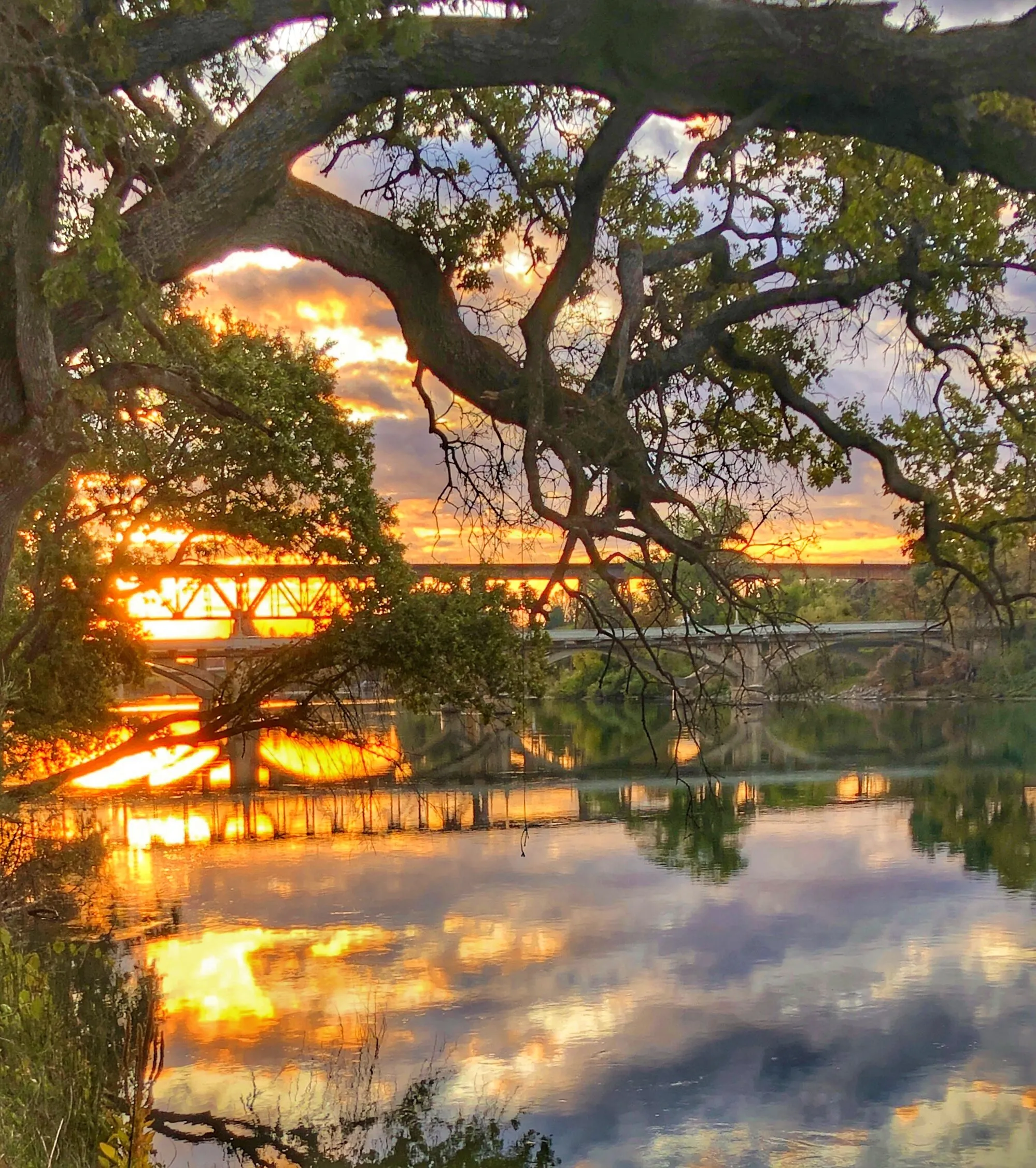 Reflections