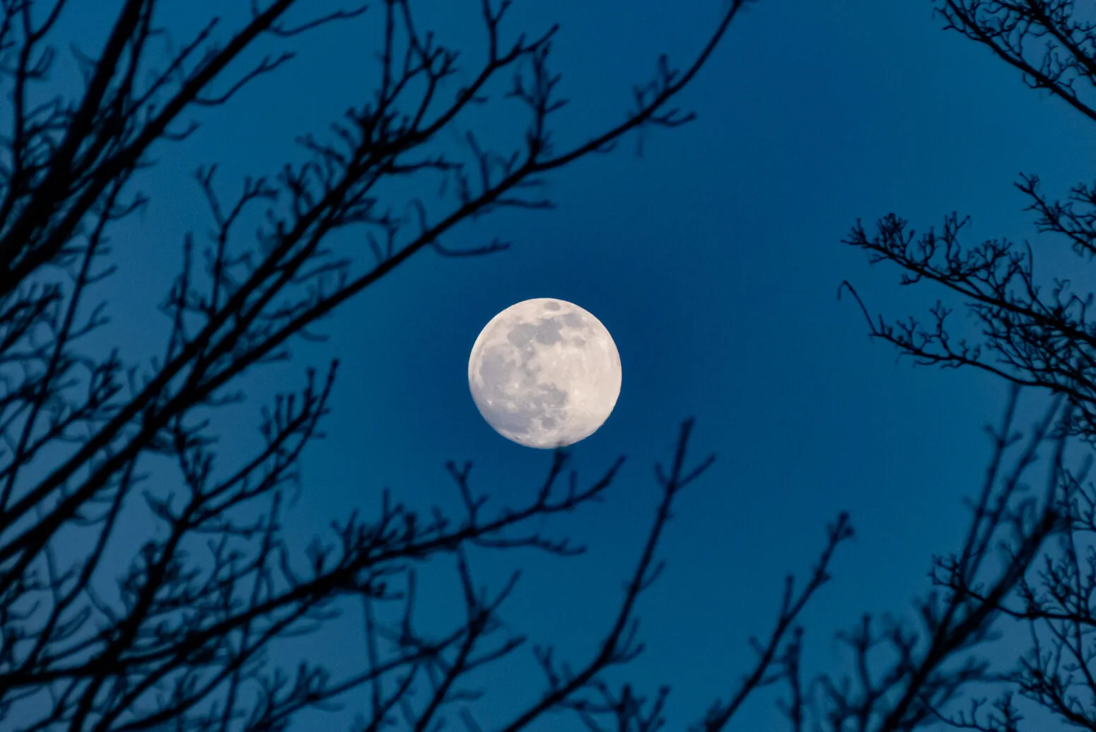 The Moon