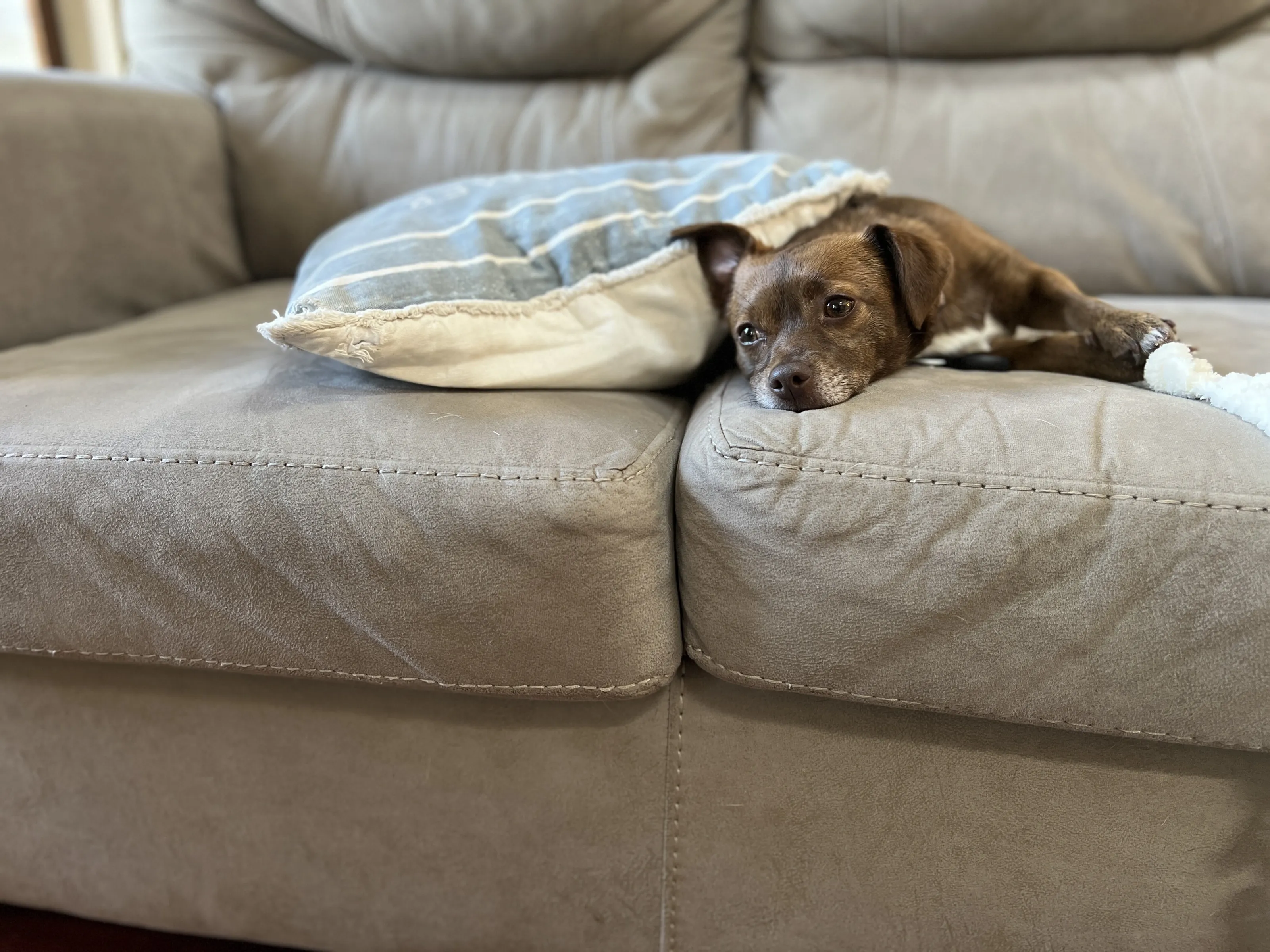 Austere Discoverability’s Exhaustion