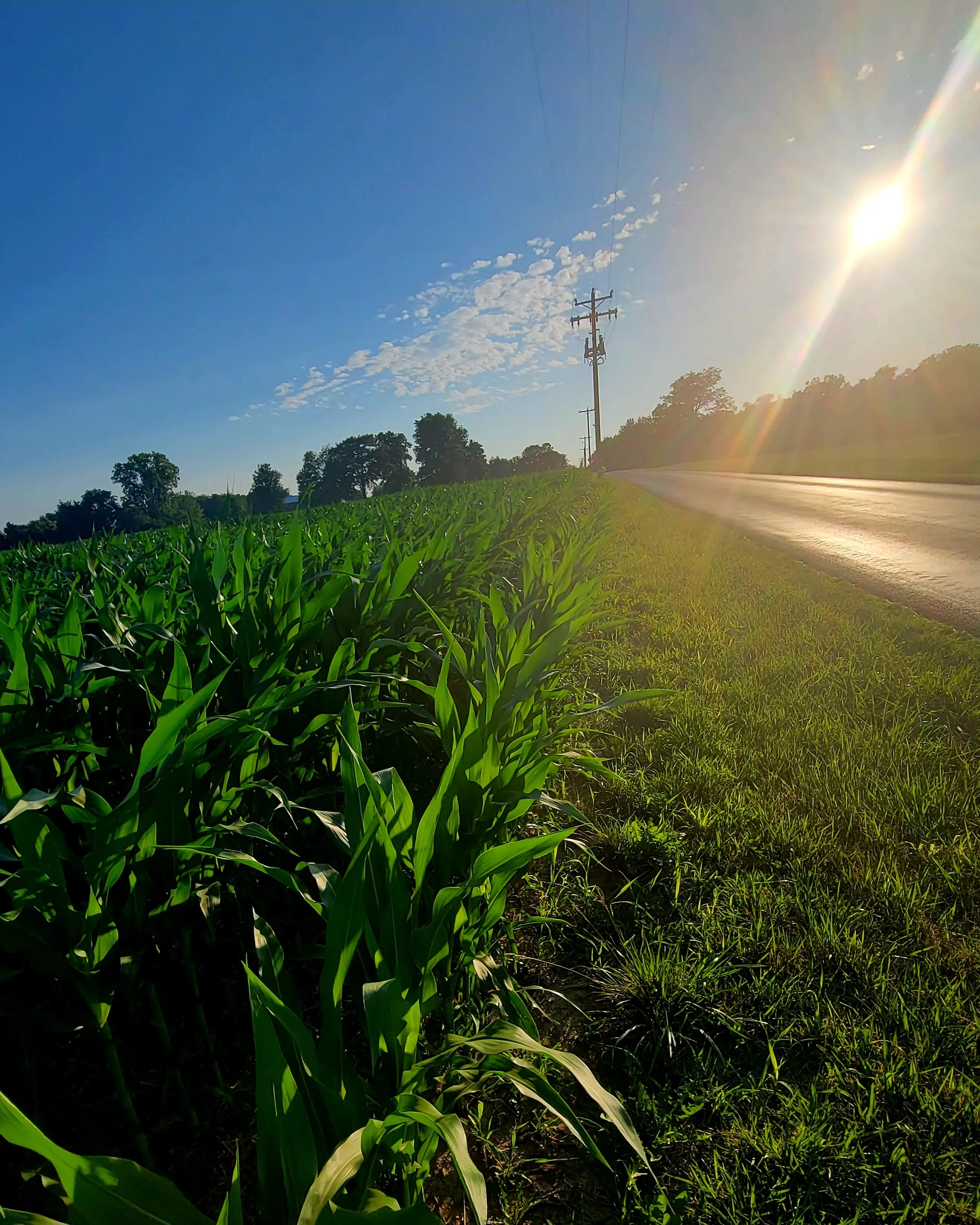 Country drive on the roadside at sunset