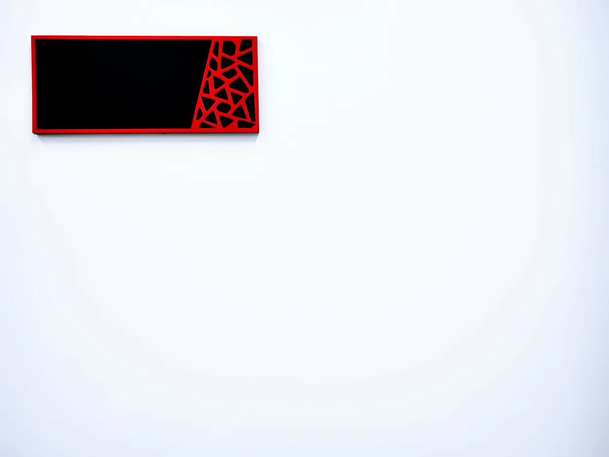 Entry 19263289