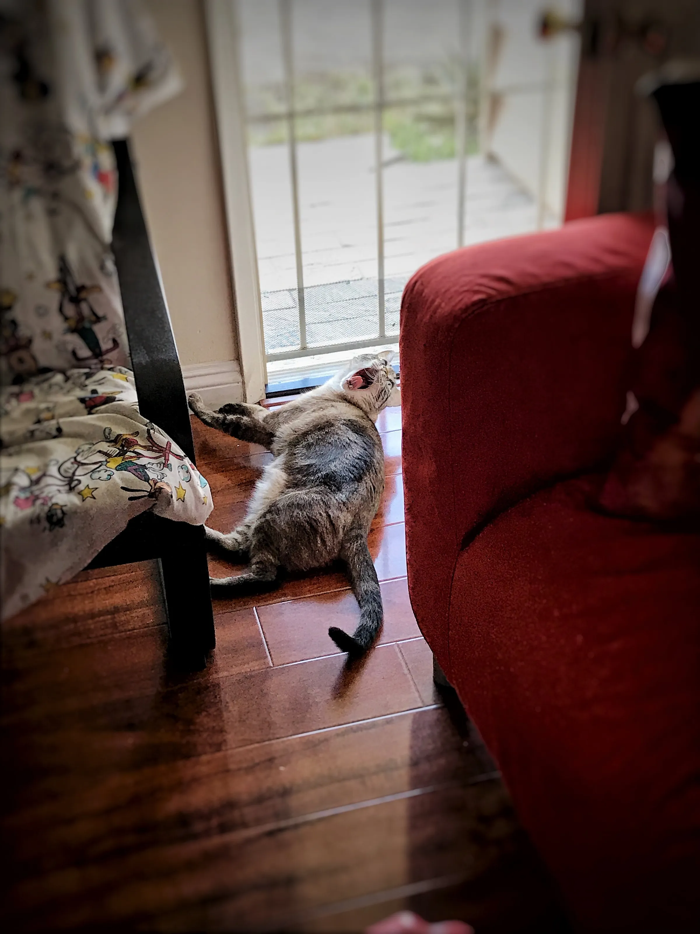 Slow Afternoon