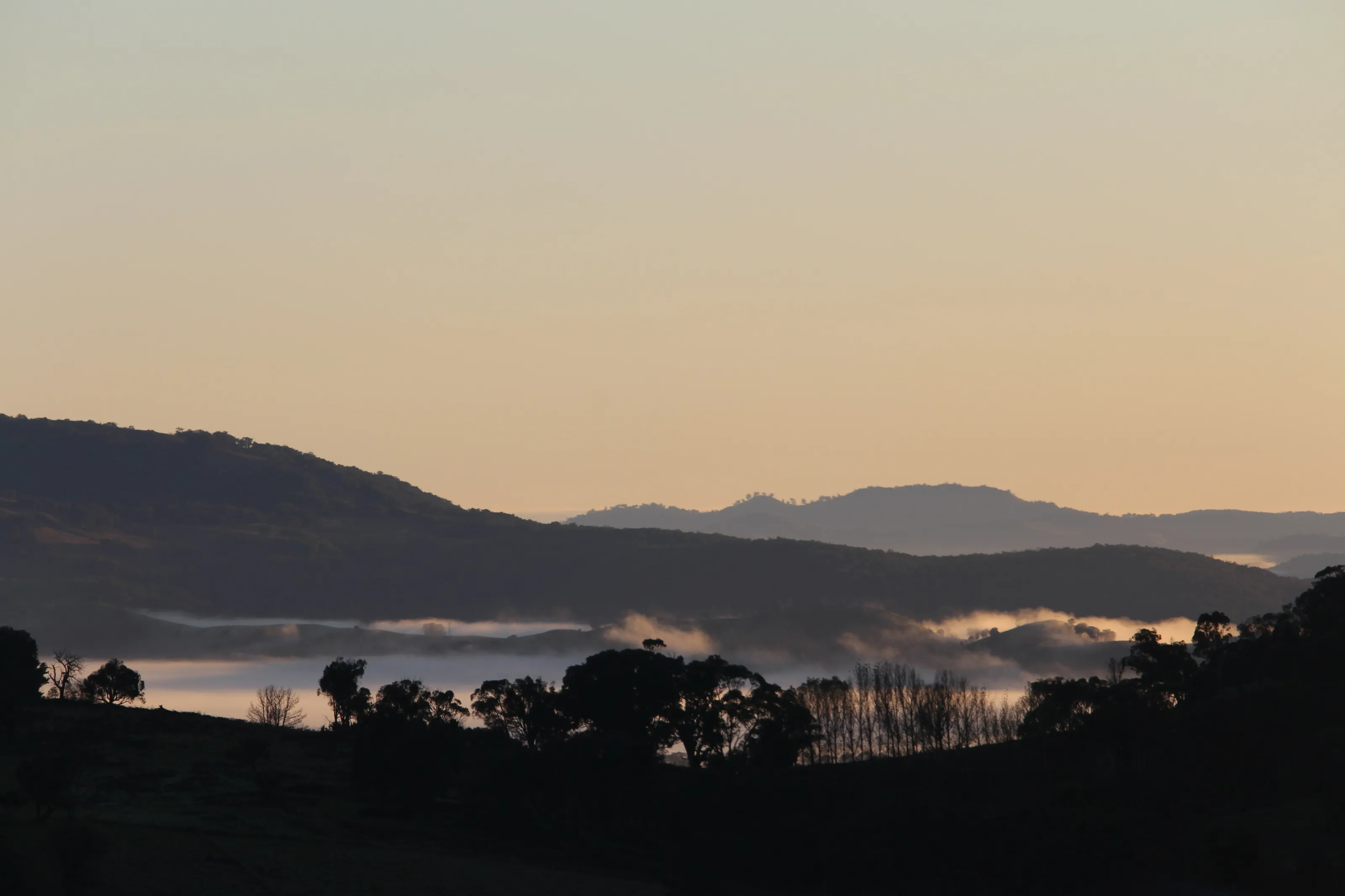 Foggy morning over the Gilmore Valley