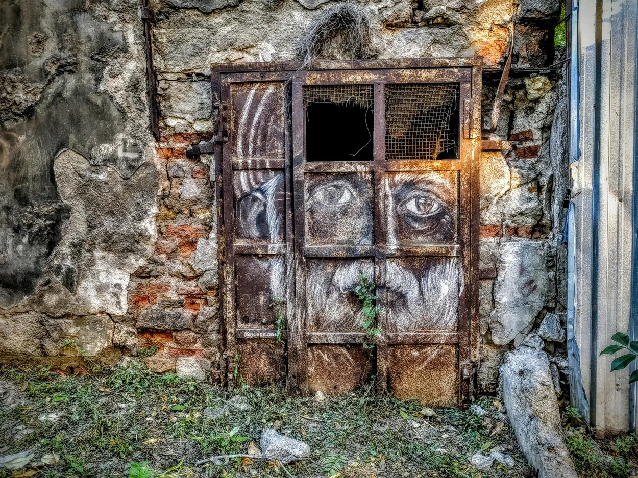 Entry 19881645