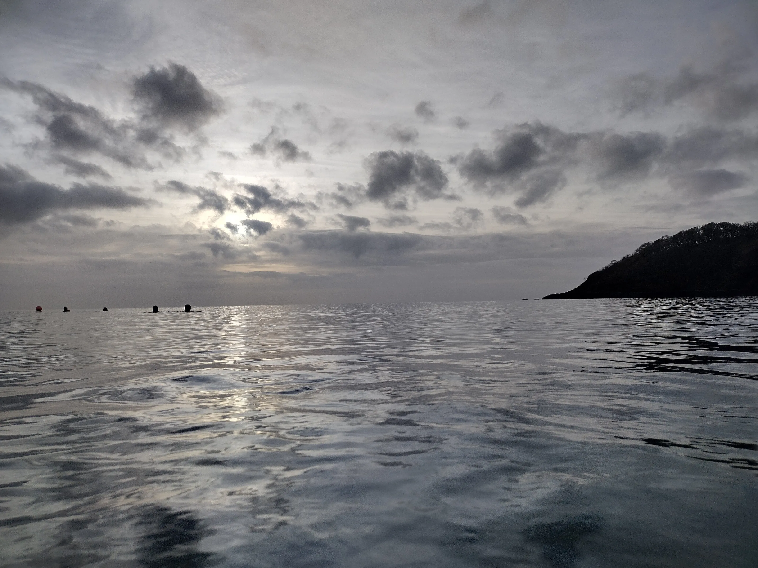 Morning Swim