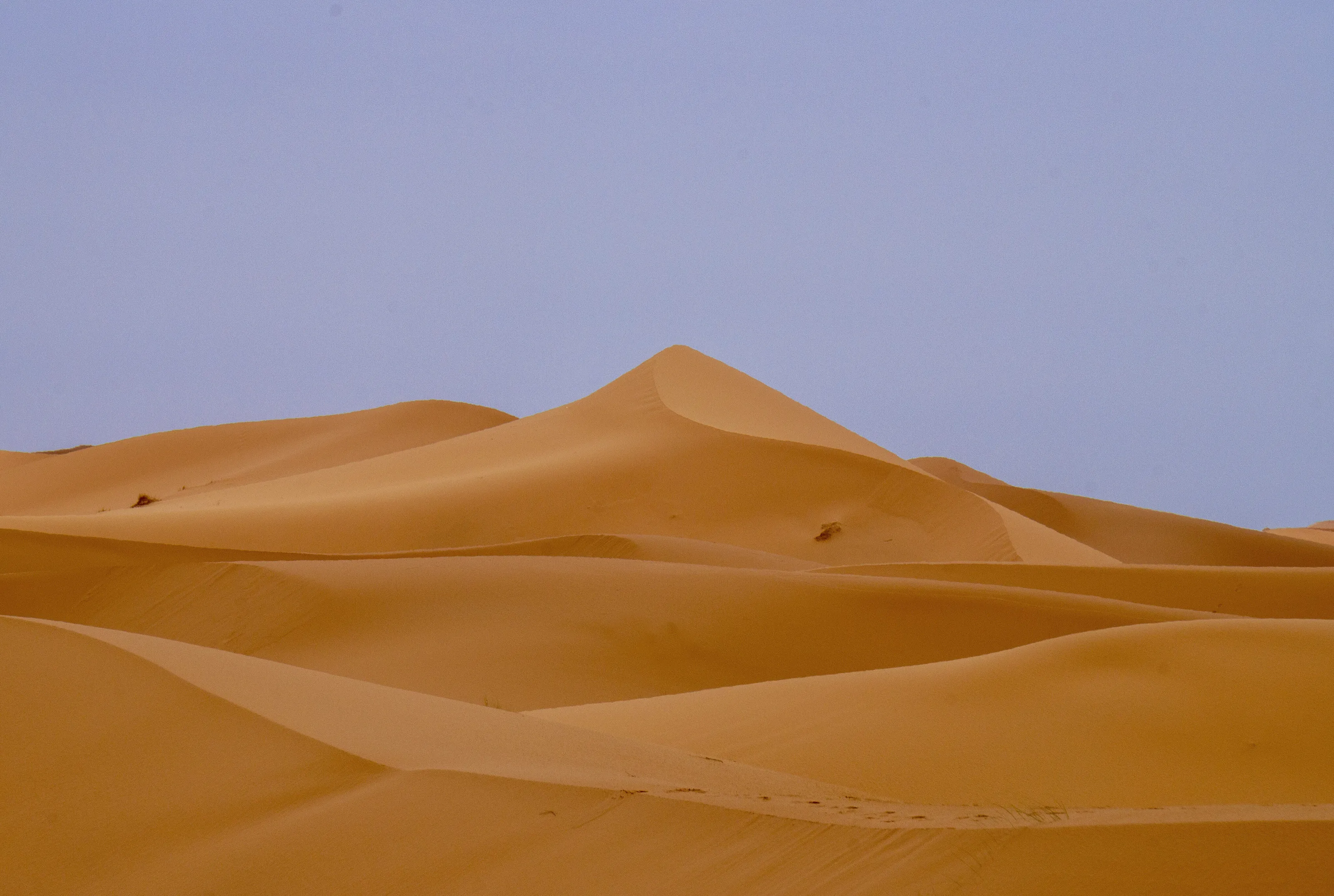 Dune layers, by Talia Nat