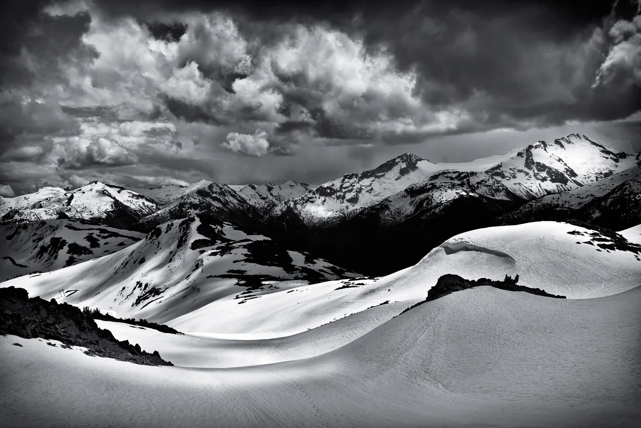 Entry 93167