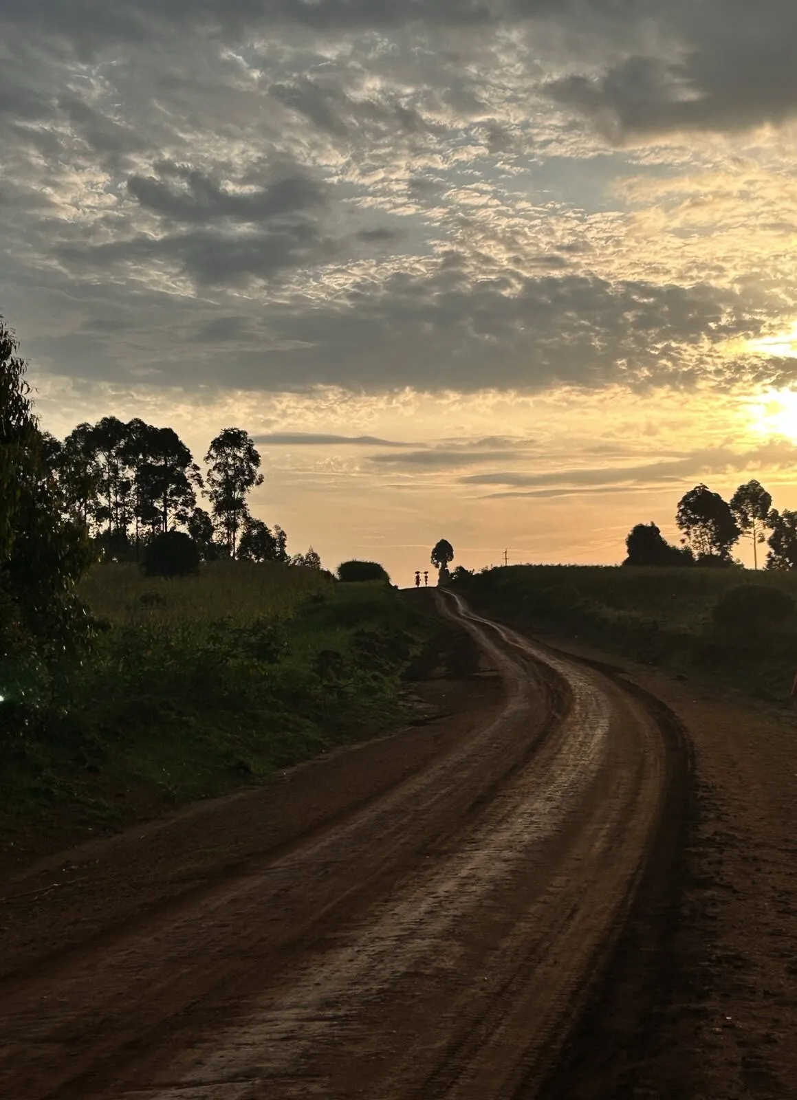 African Sunset