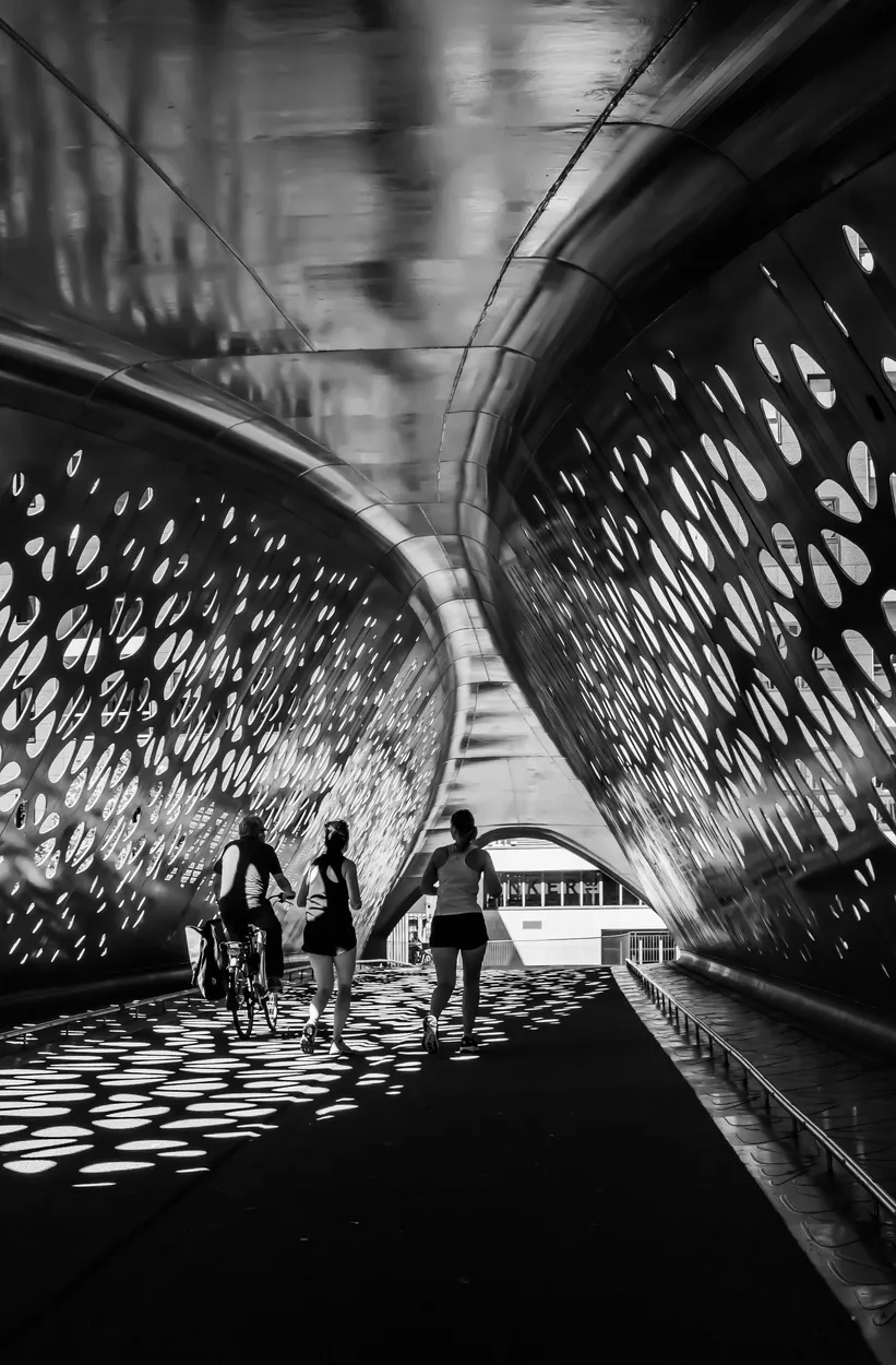 Entry 17497403