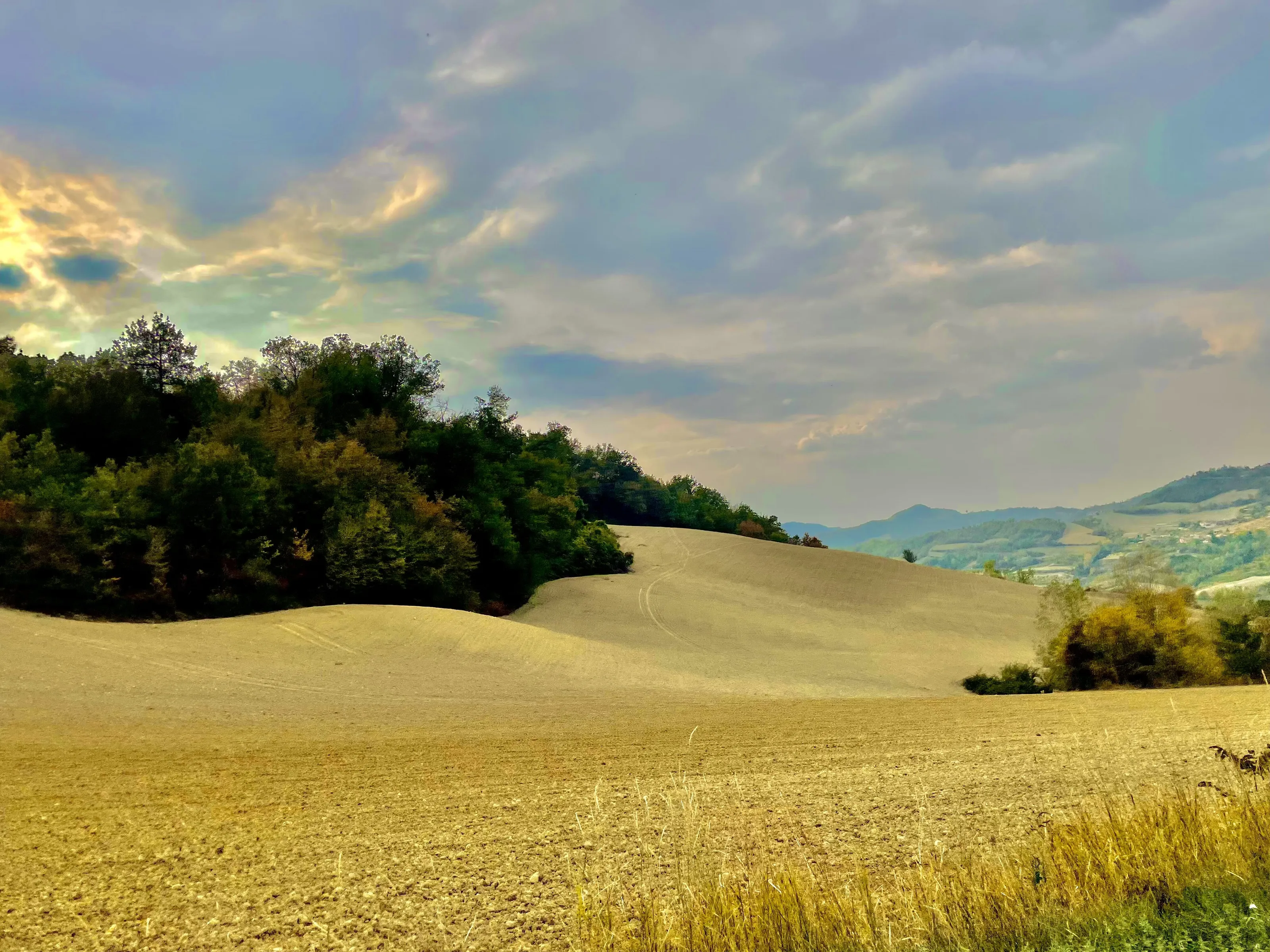 Fall Fields