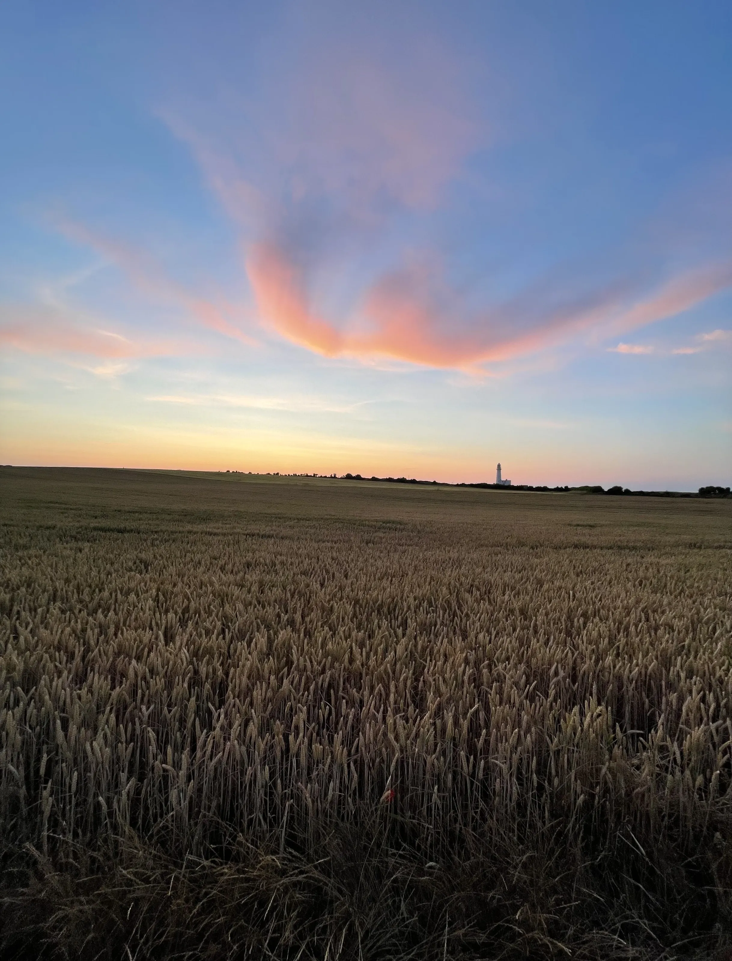 Lighthouse across the field