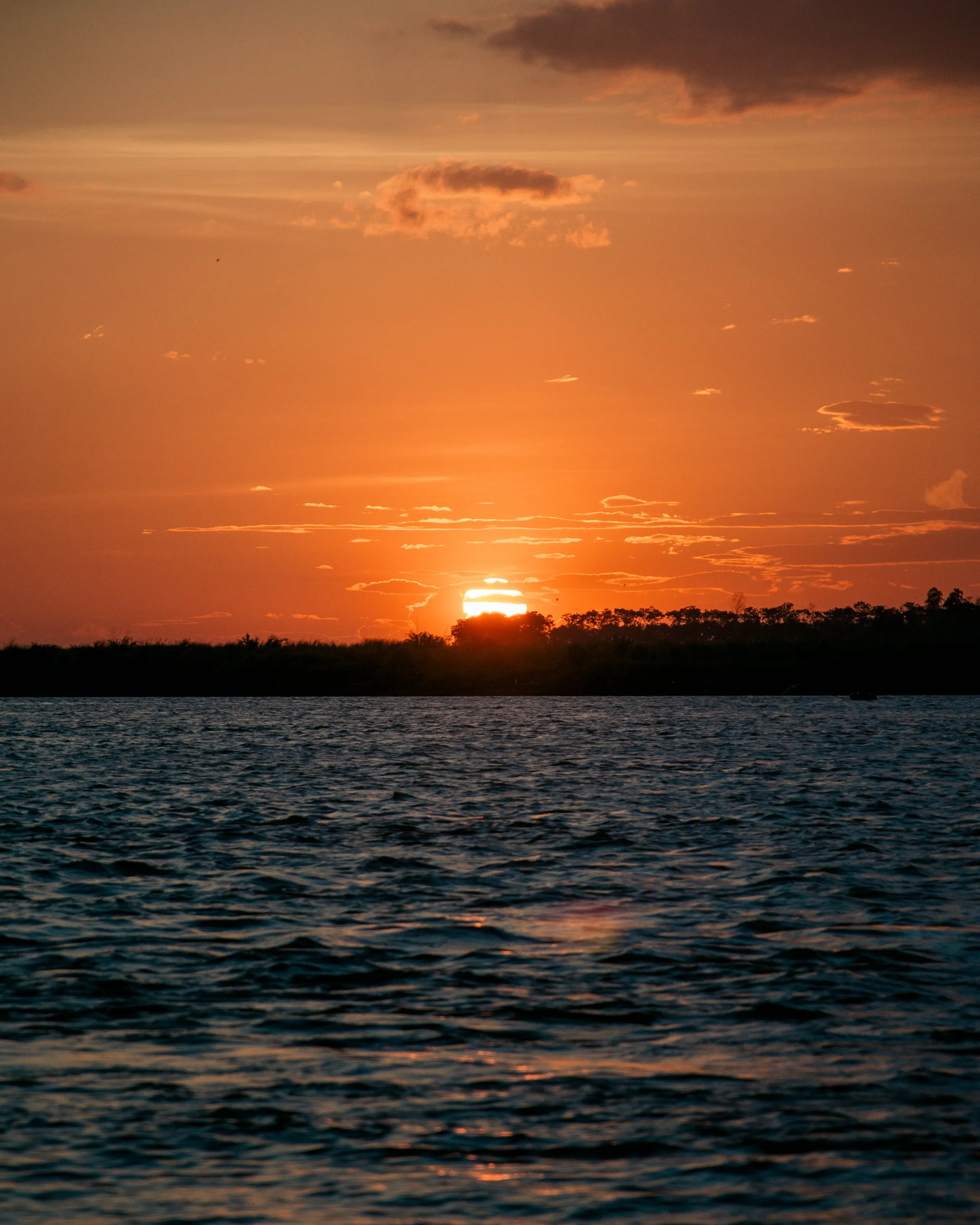 Golden serenity