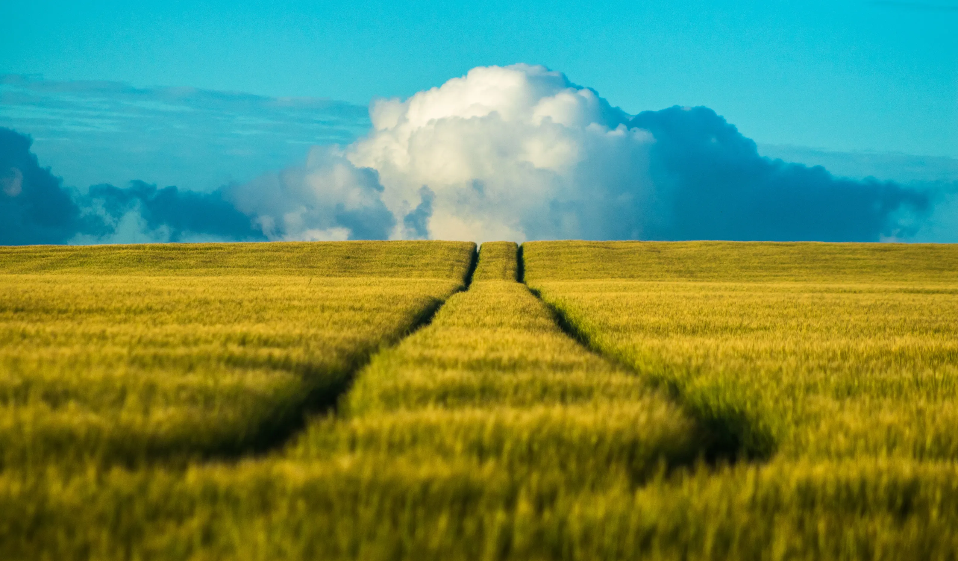 Farmer's Trail