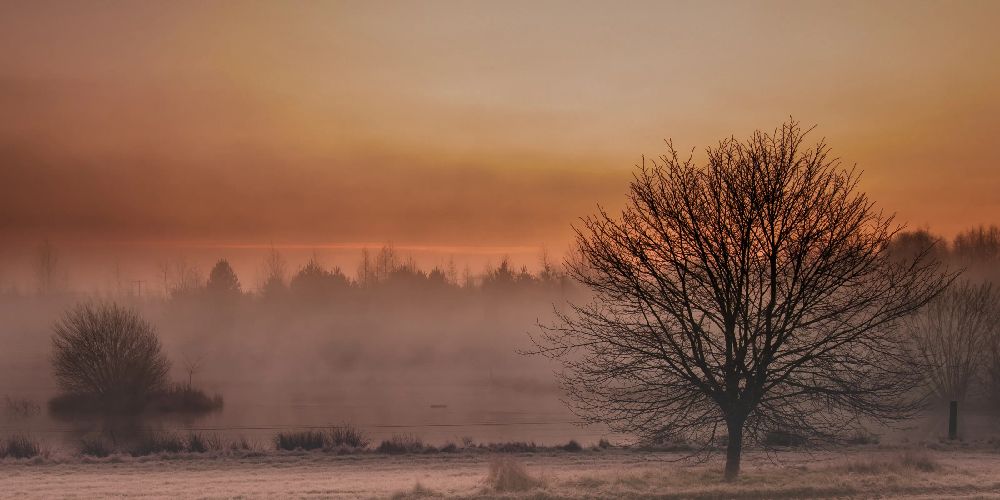 Winter Morning