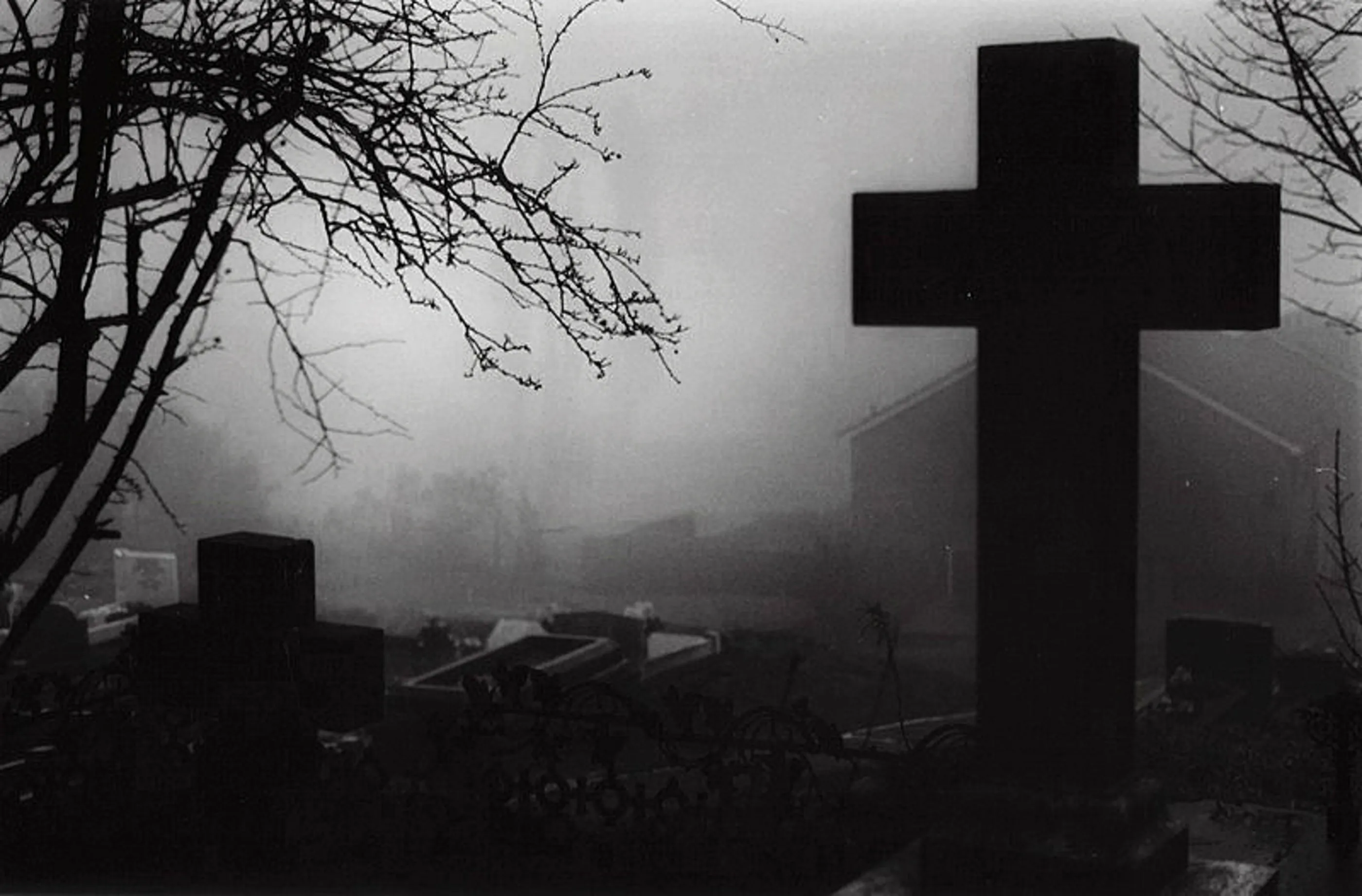 A Foggy Misty Graveyard