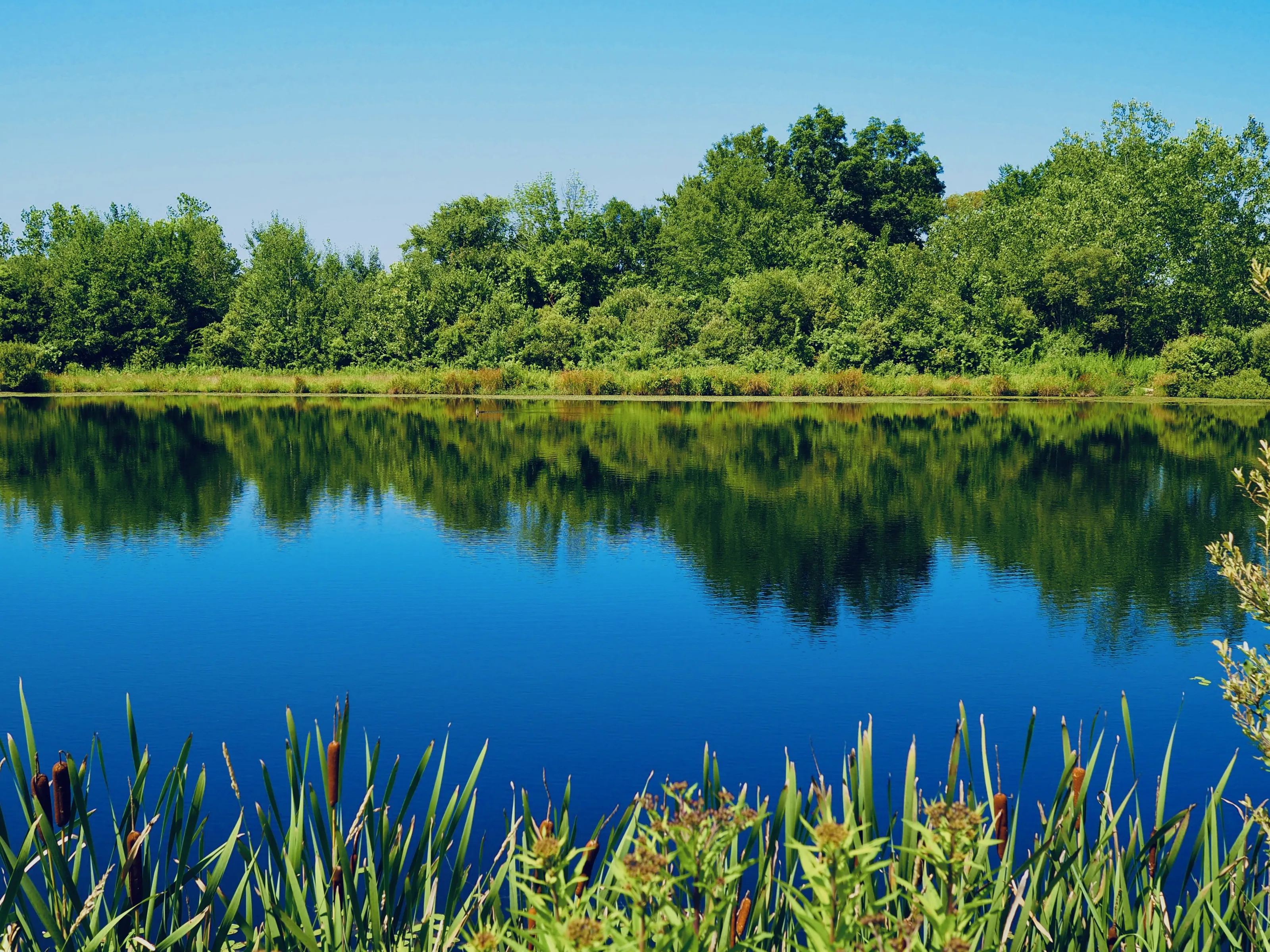 Waterscape