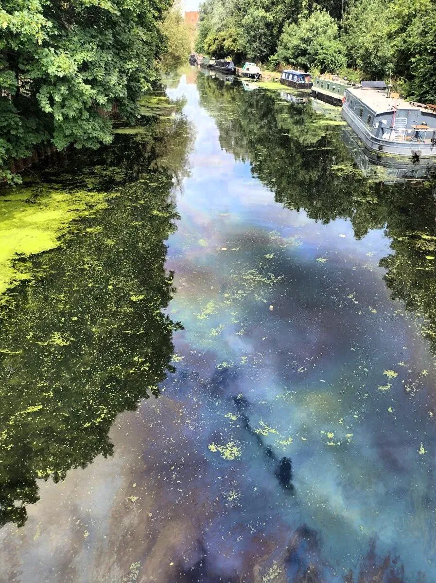 River Lea