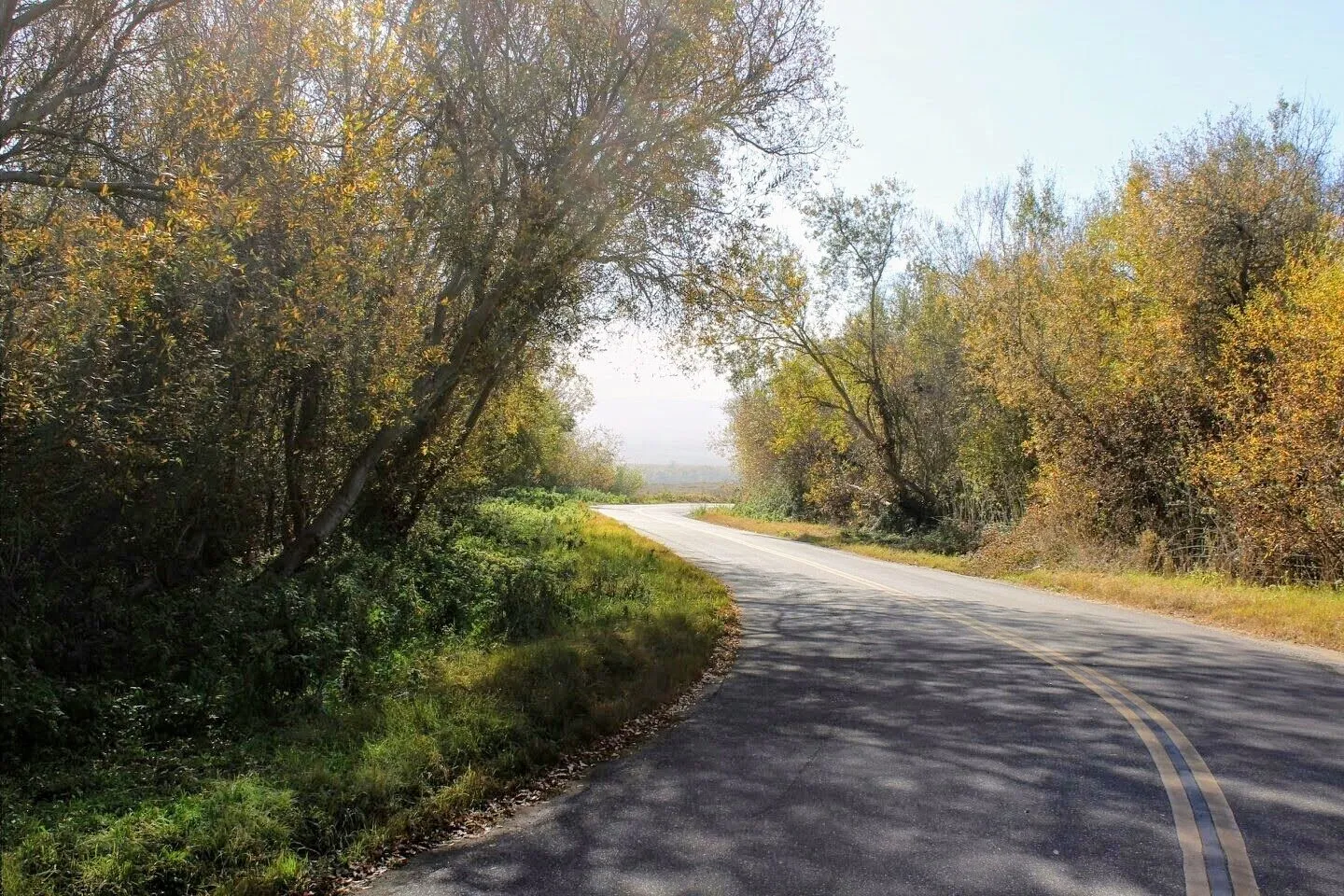 The road to Guadalupe