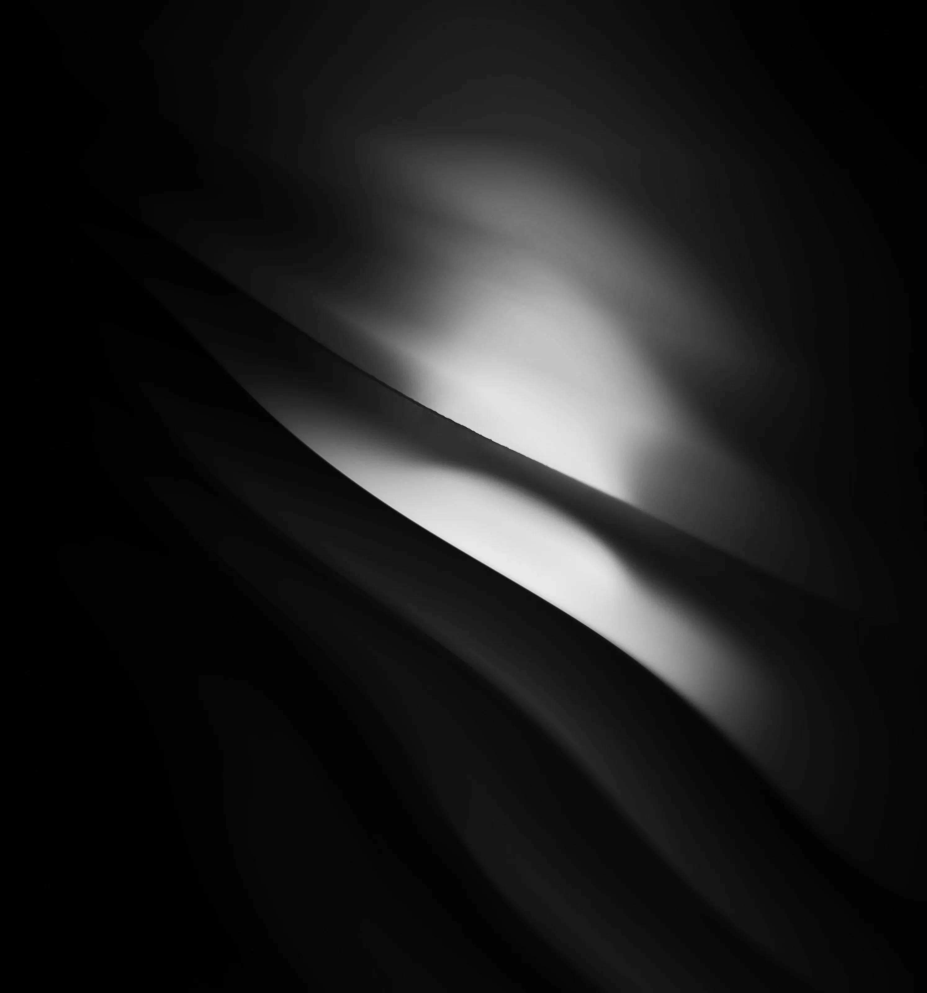 The Noir Veil