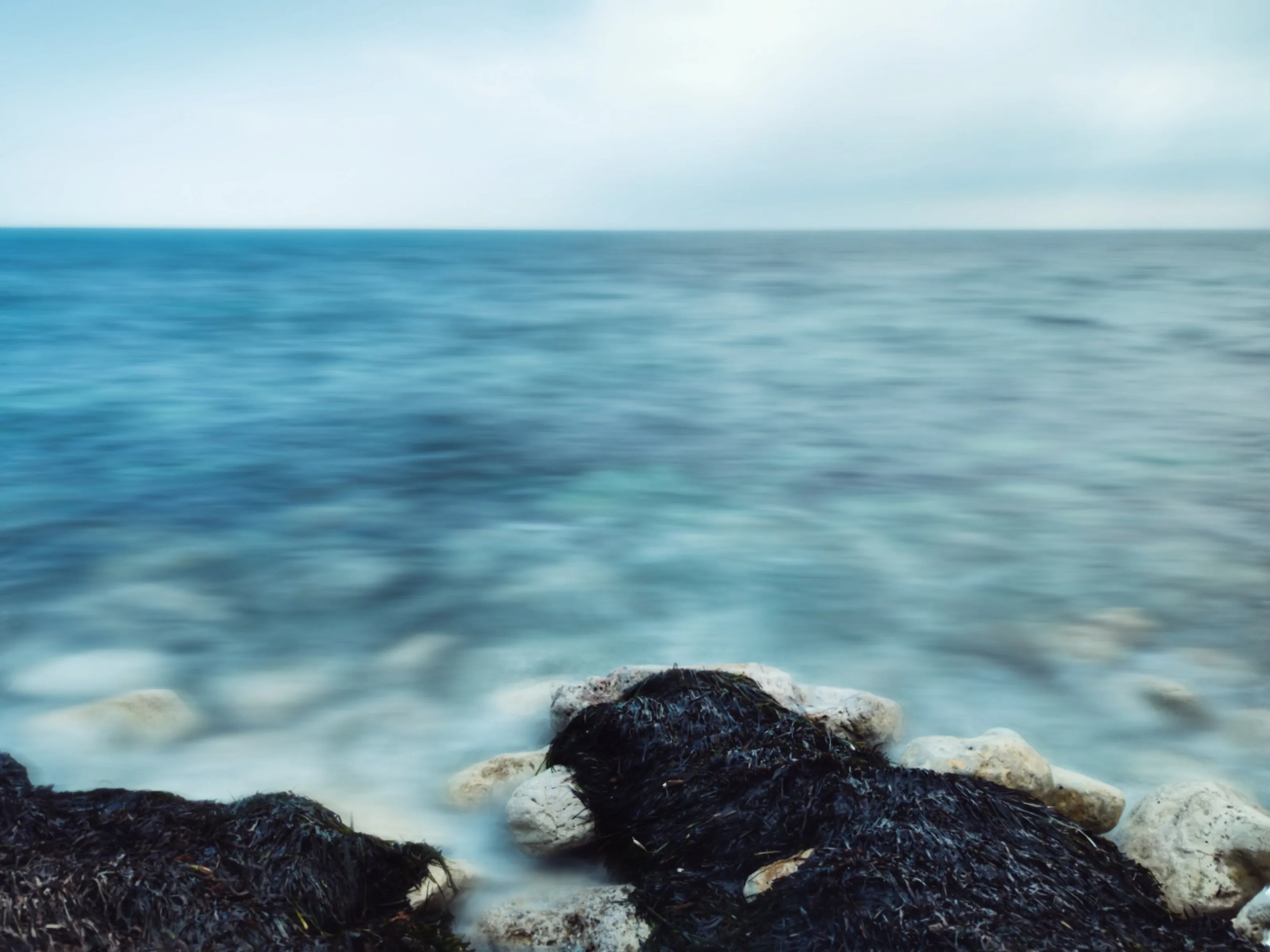 Silky saltwater
